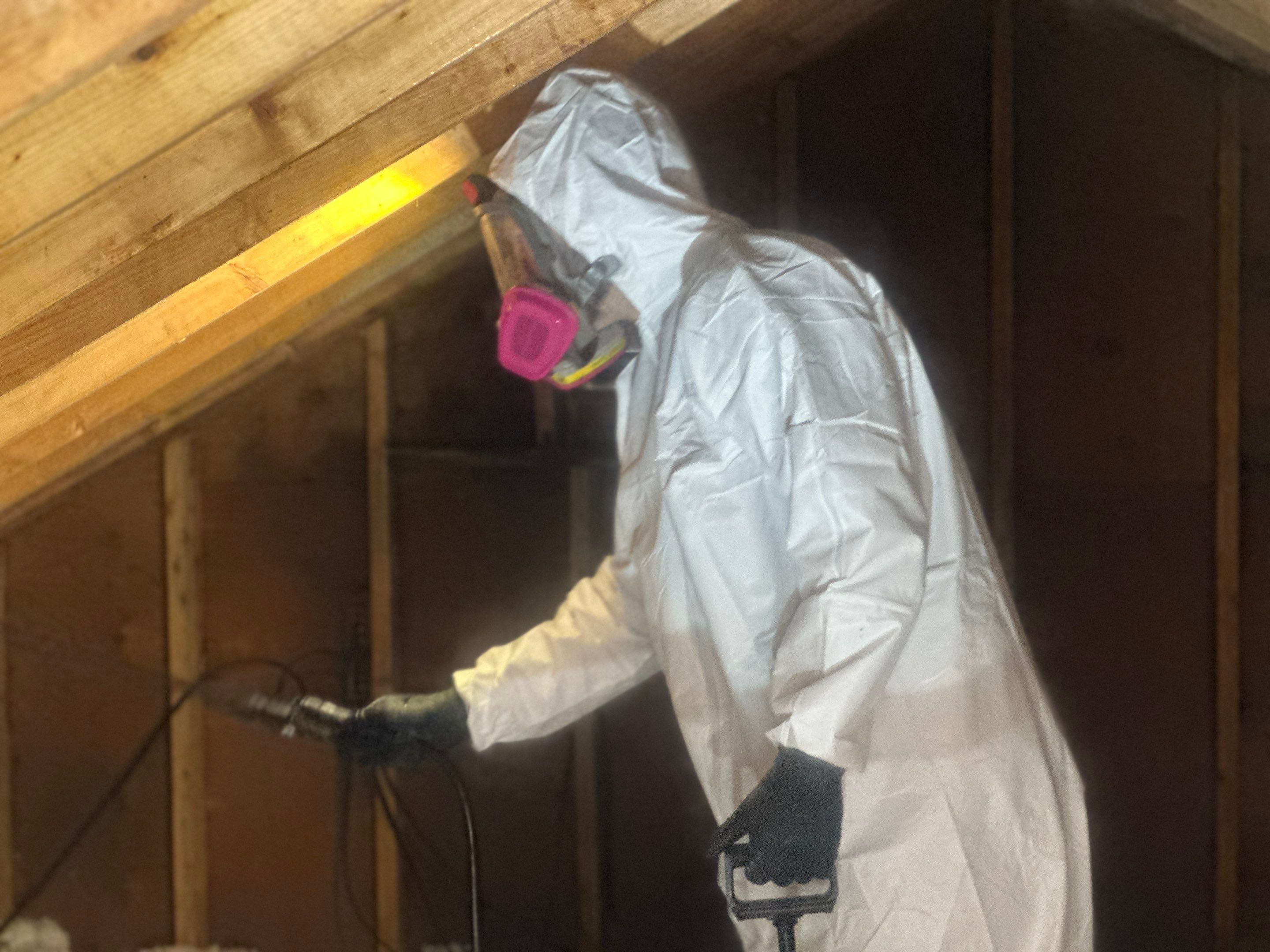 Attic Mold Remediation by Home Guarantee, LLC