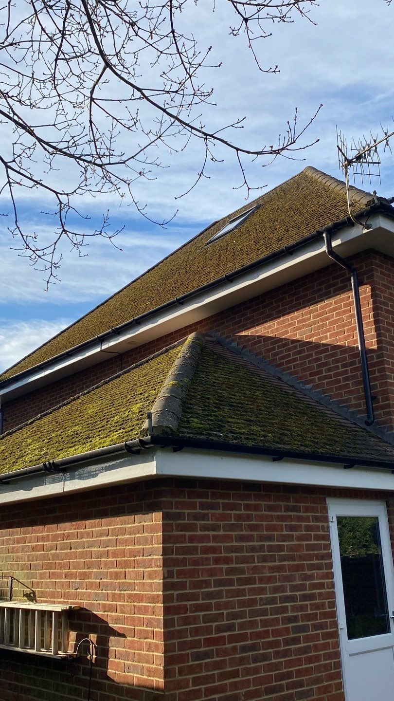 Mosmatic FSC and Biocide by Ges Exterior Cleaning ltd