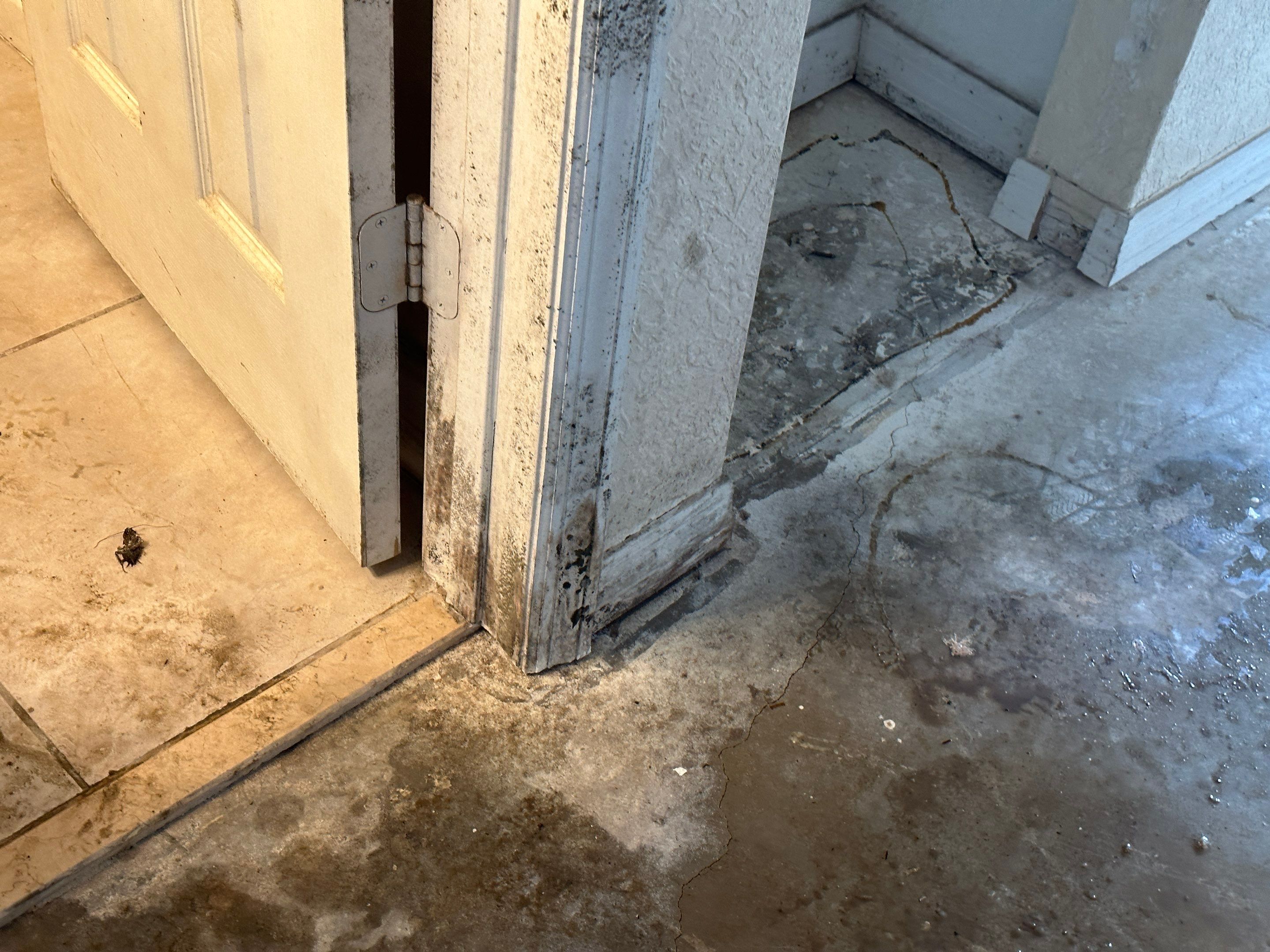 Water Damage Claim in Daytona Beach by FLAPA & KeyStone