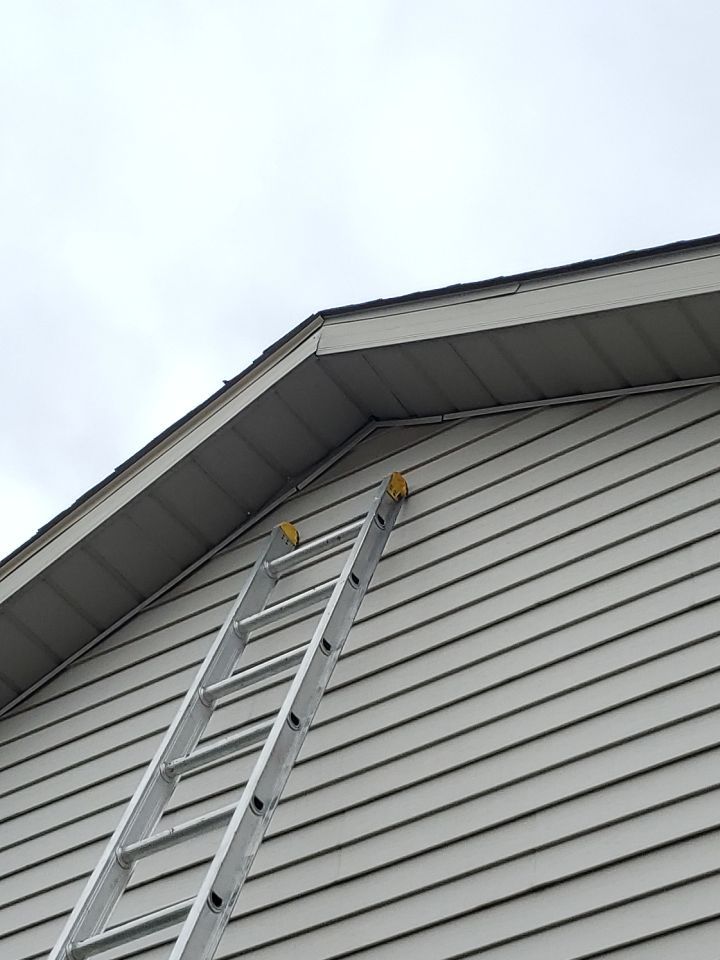 Wanda Alexander by Silver Leaf Contracting 