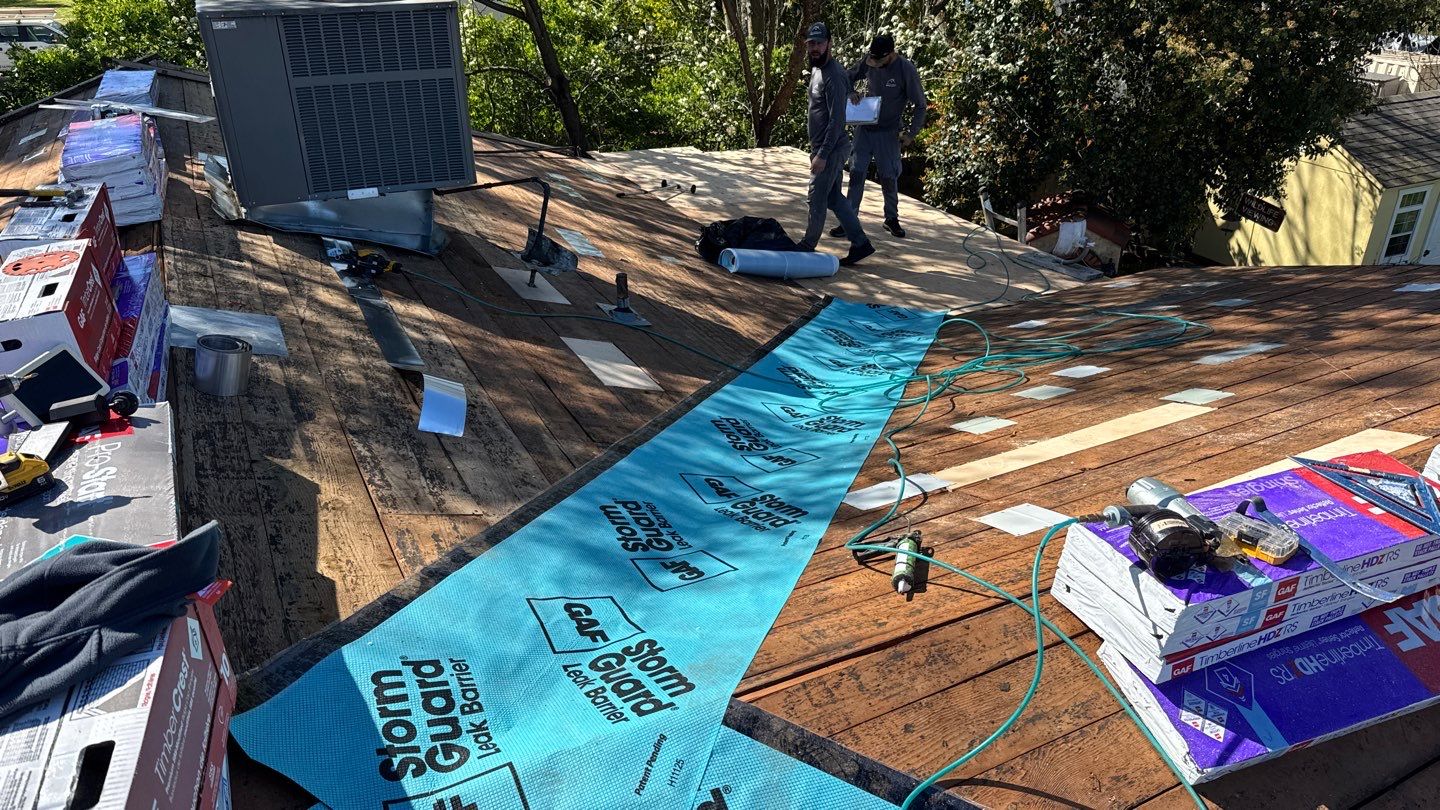 Willa Holmstock by NuLead Construction Inc