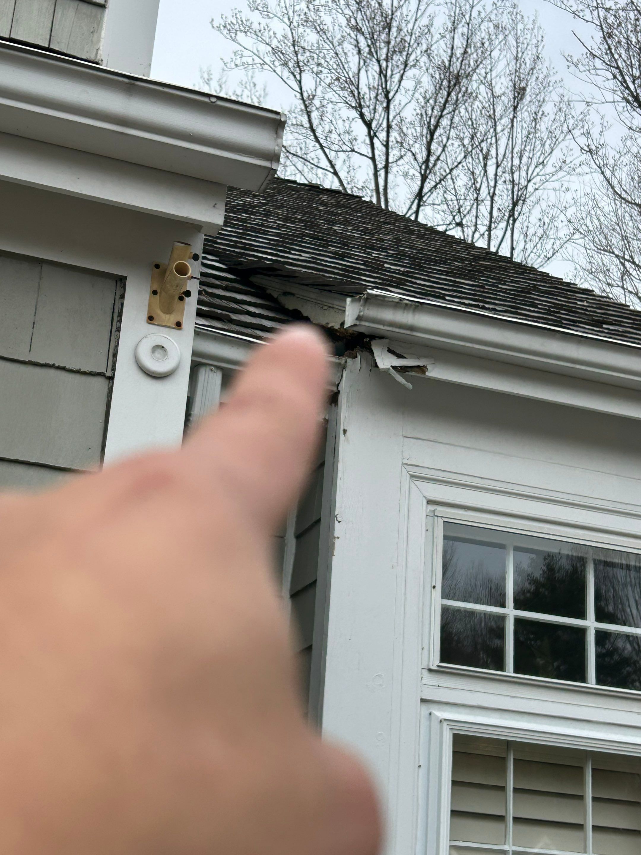 Reston :  Residential Roof Replacement with Brava Synthetic Cedar Shake Class C Natural  by RM Banning, Inc.