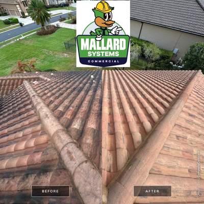 Tile Roof Cleaning