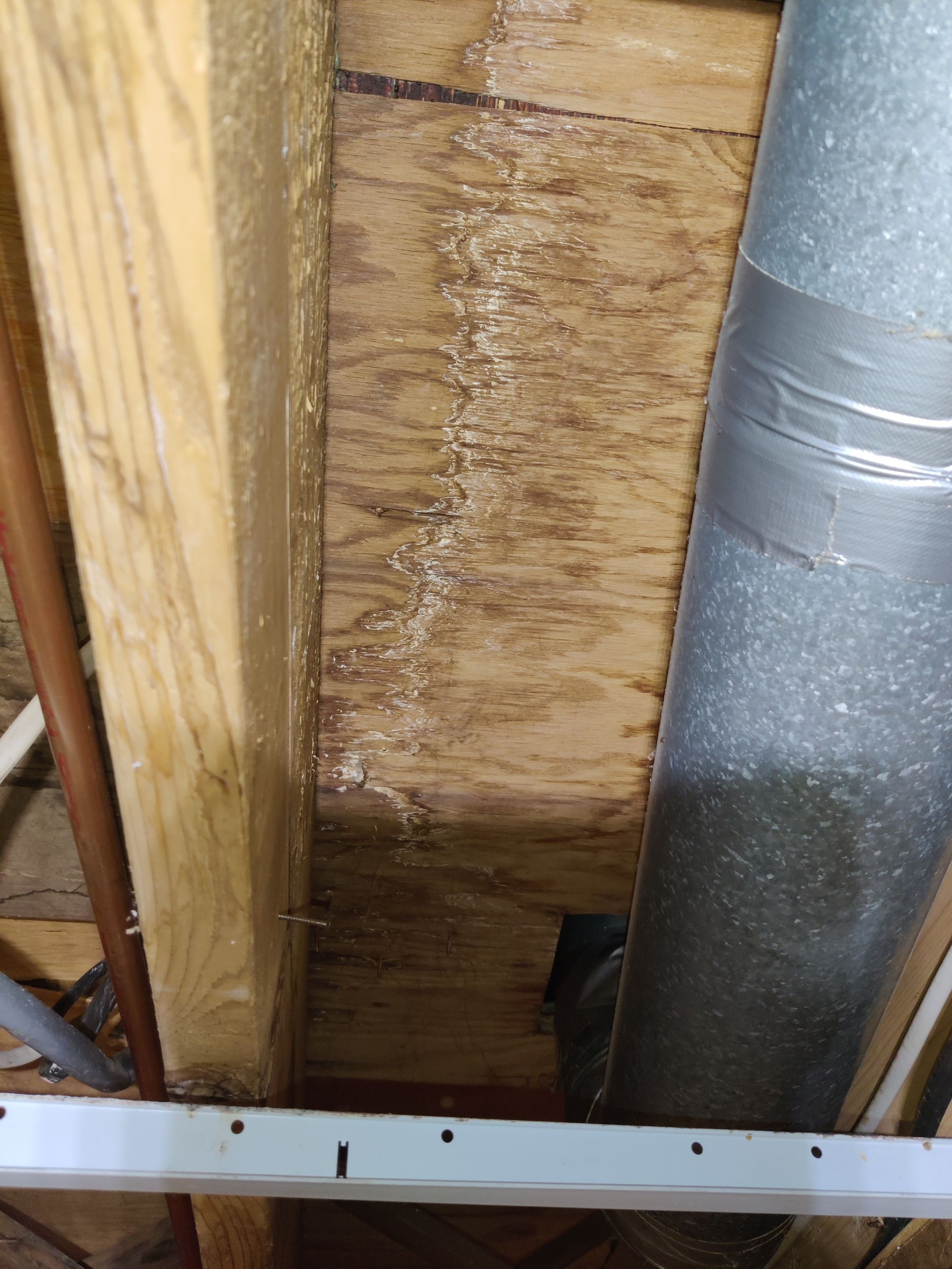 Mold Remediation using Containment by Accountable Home Services