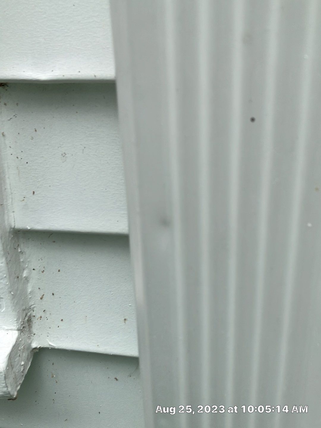 Certainteed Vinyl Siding Installment by Custom Installations, Inc.