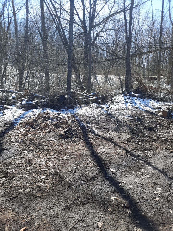 Tree Removal using Tree Removal by Mike Jones & Sons Tree Service LLC 