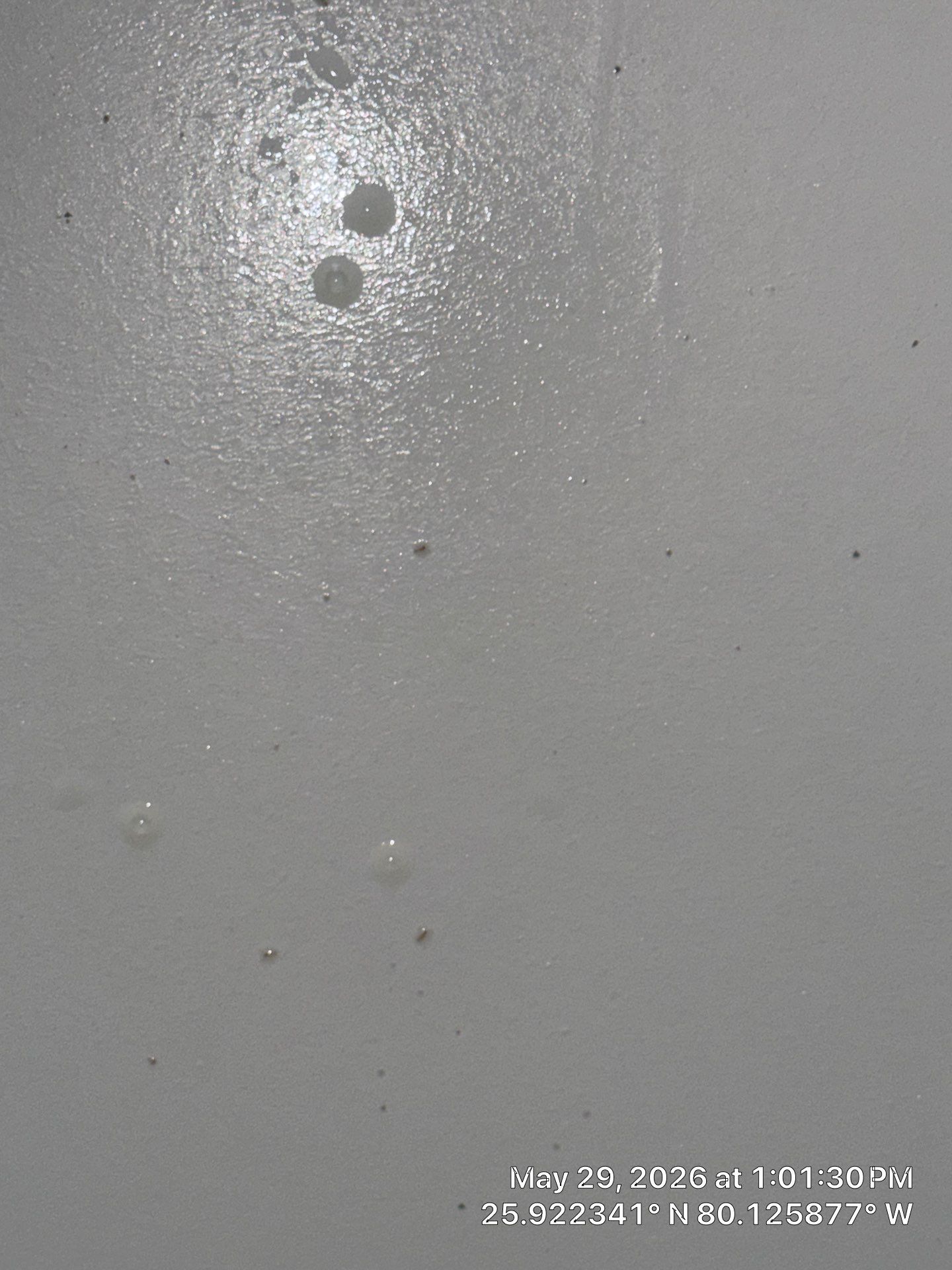 Mold Remediation and Water Damage Assessment in Sunny Isles Beach by SuperClean