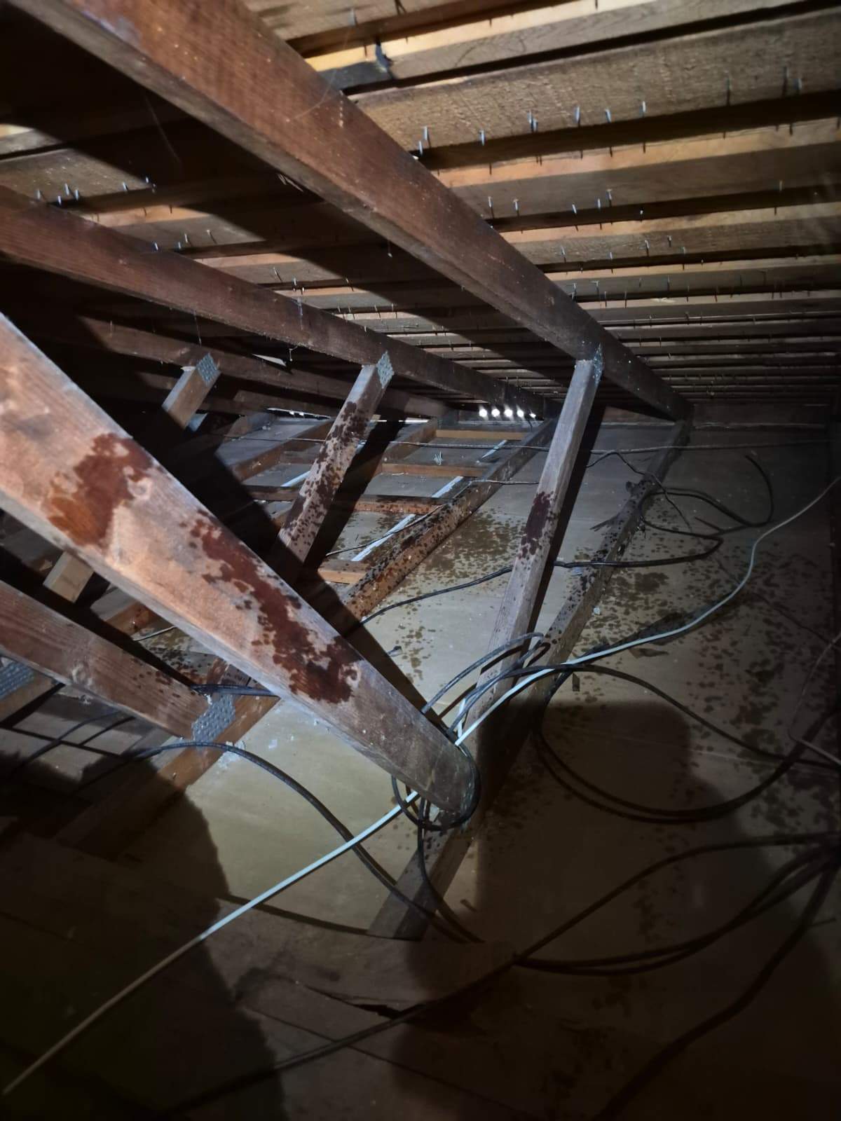 Project by Advanced Attic Solutions by Advanced Attic Solutions