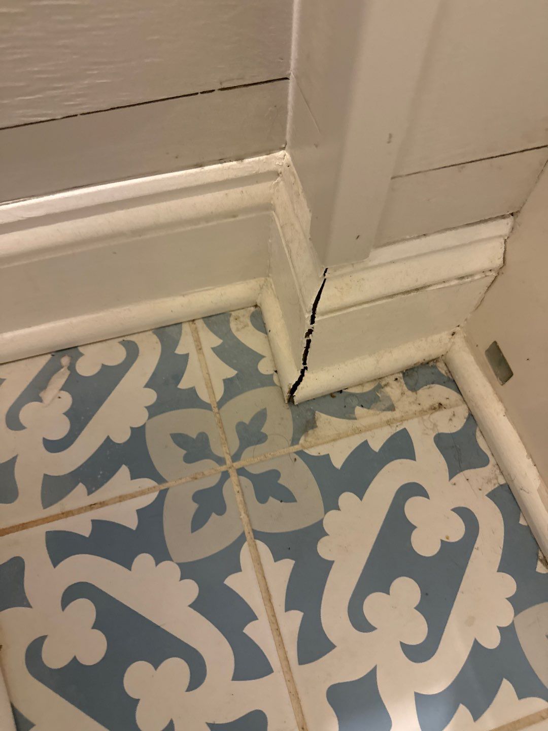 Bathroom and Crawlspace Water Damage and Mold by Healthy Home Solutions