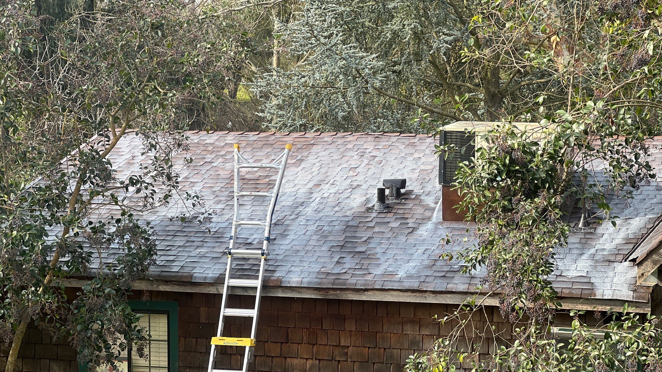 Roof Rejuvenation using Roof Maxx Treatment by Roof Maxx of Folsom