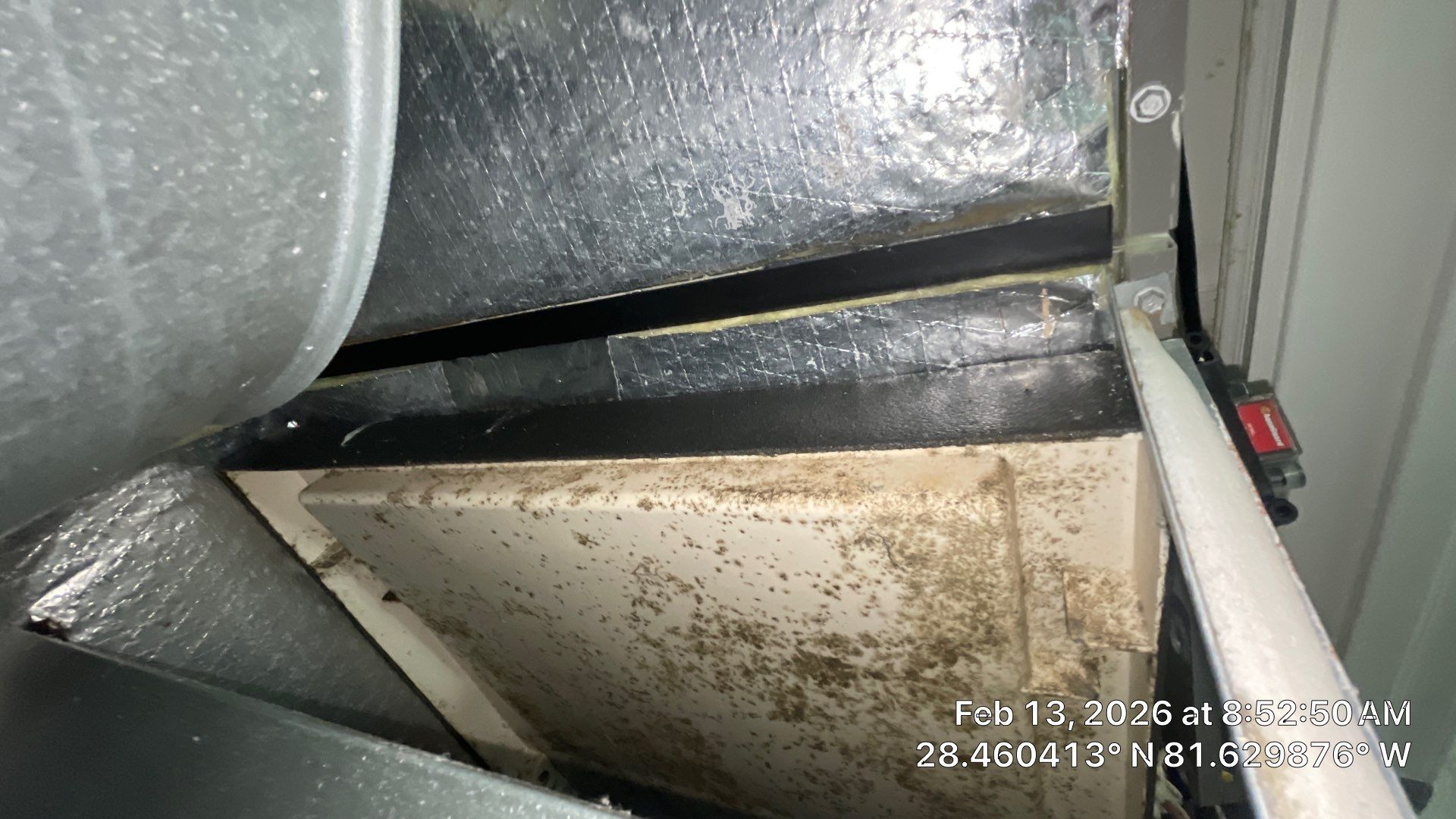 Air Duct Cleaning in Winter Garden by Hygienic Air, Inc
