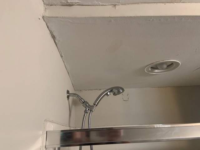 Ceiling & Shower Repair by A1 NERDY HOMES LLC