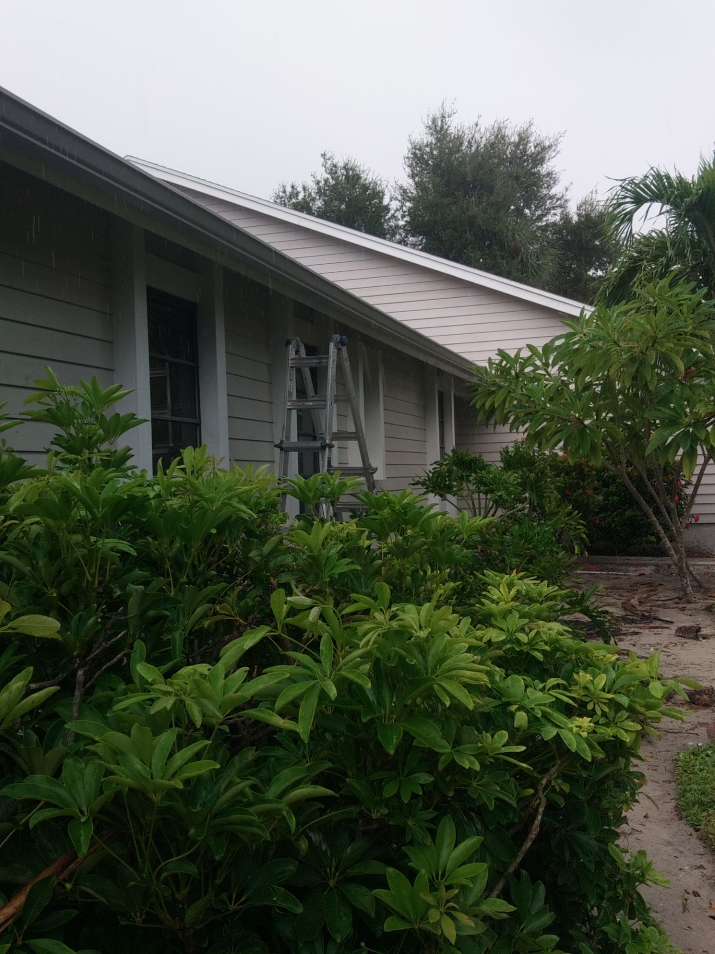 Splash Guards for Fort Myers Homes by Gutter Professors