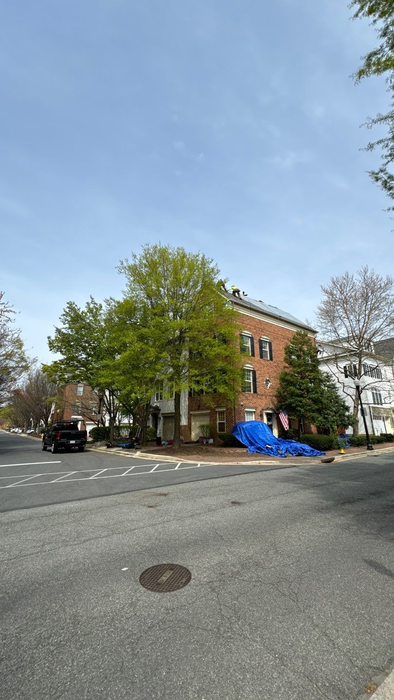 Alexandria: CertainTeed Landmark Pro Designer Shingles in Max Def Georgetown Gray by RM Banning, Inc.