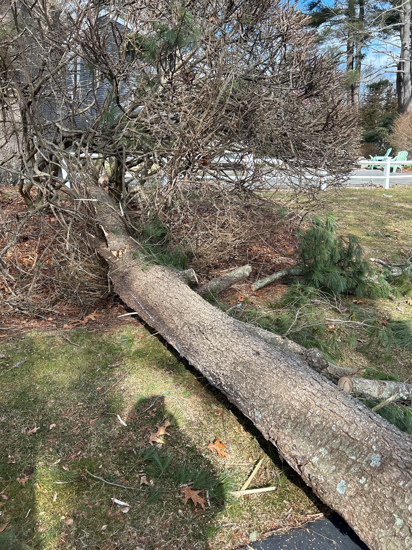 Tree Removal by LaMere Landscaping and Property Maintenance