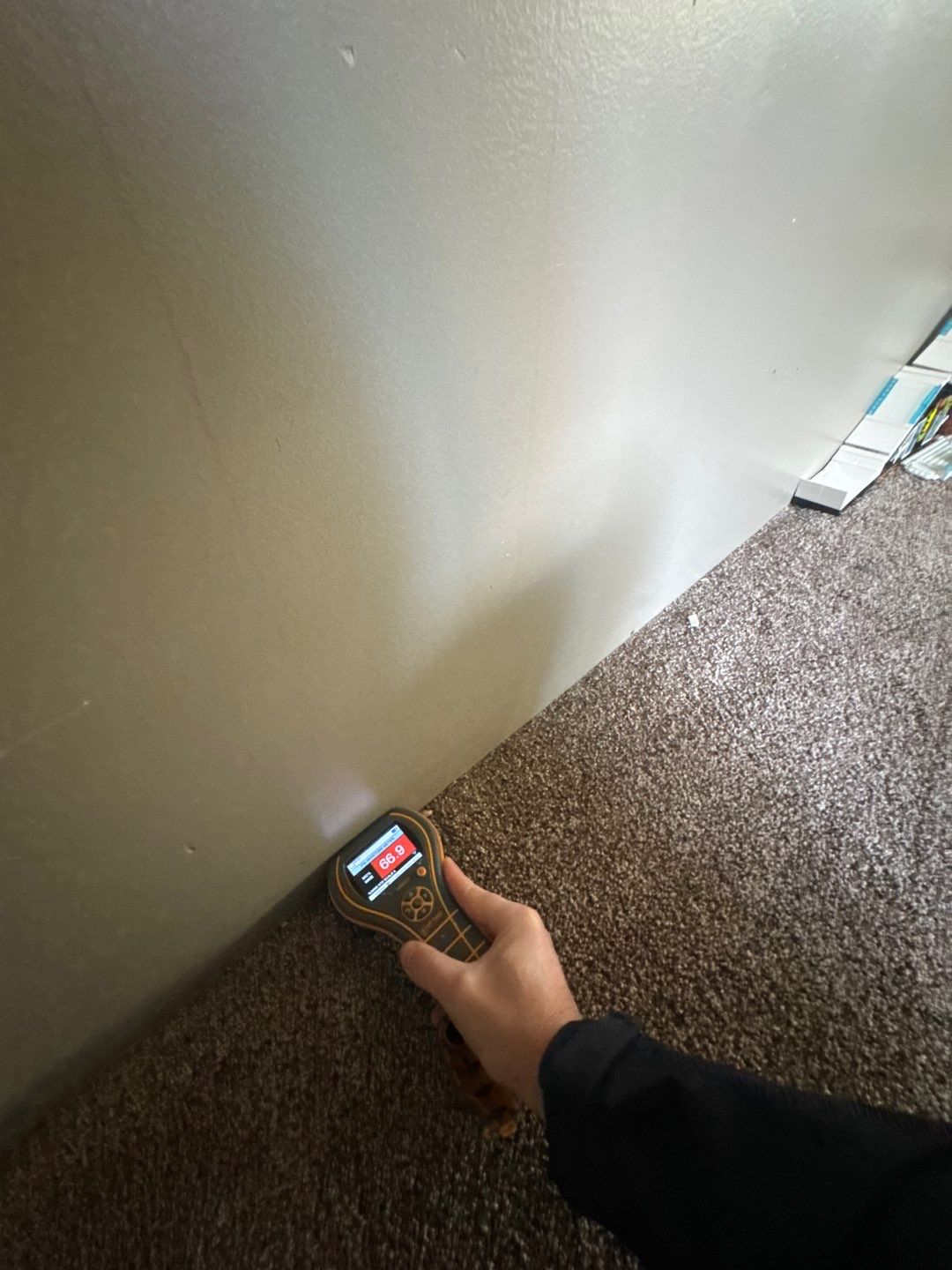 Project in White Lake by EzDry Water Mitigation & Property Restoration