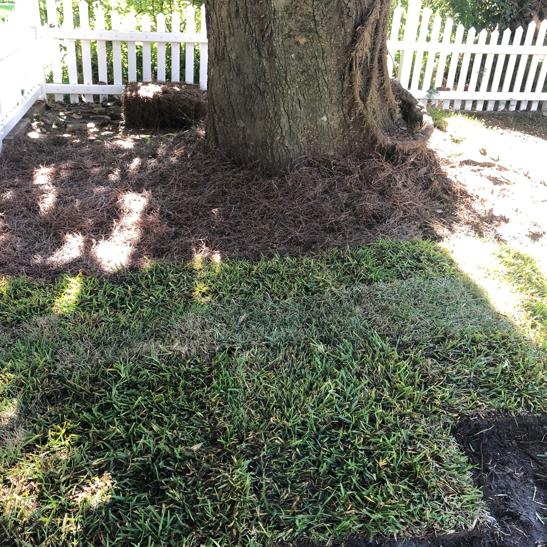 Extreme Clean Up - Landscape Install | Residential by ProGreen Services