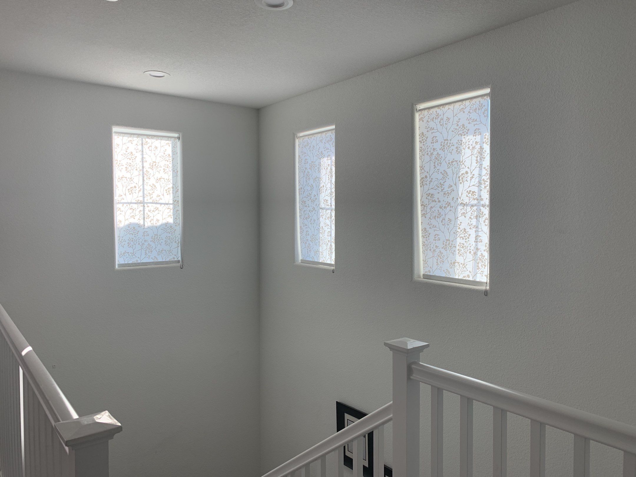 Window Clean for Idowu Realty by SpotFree Window Cleaning