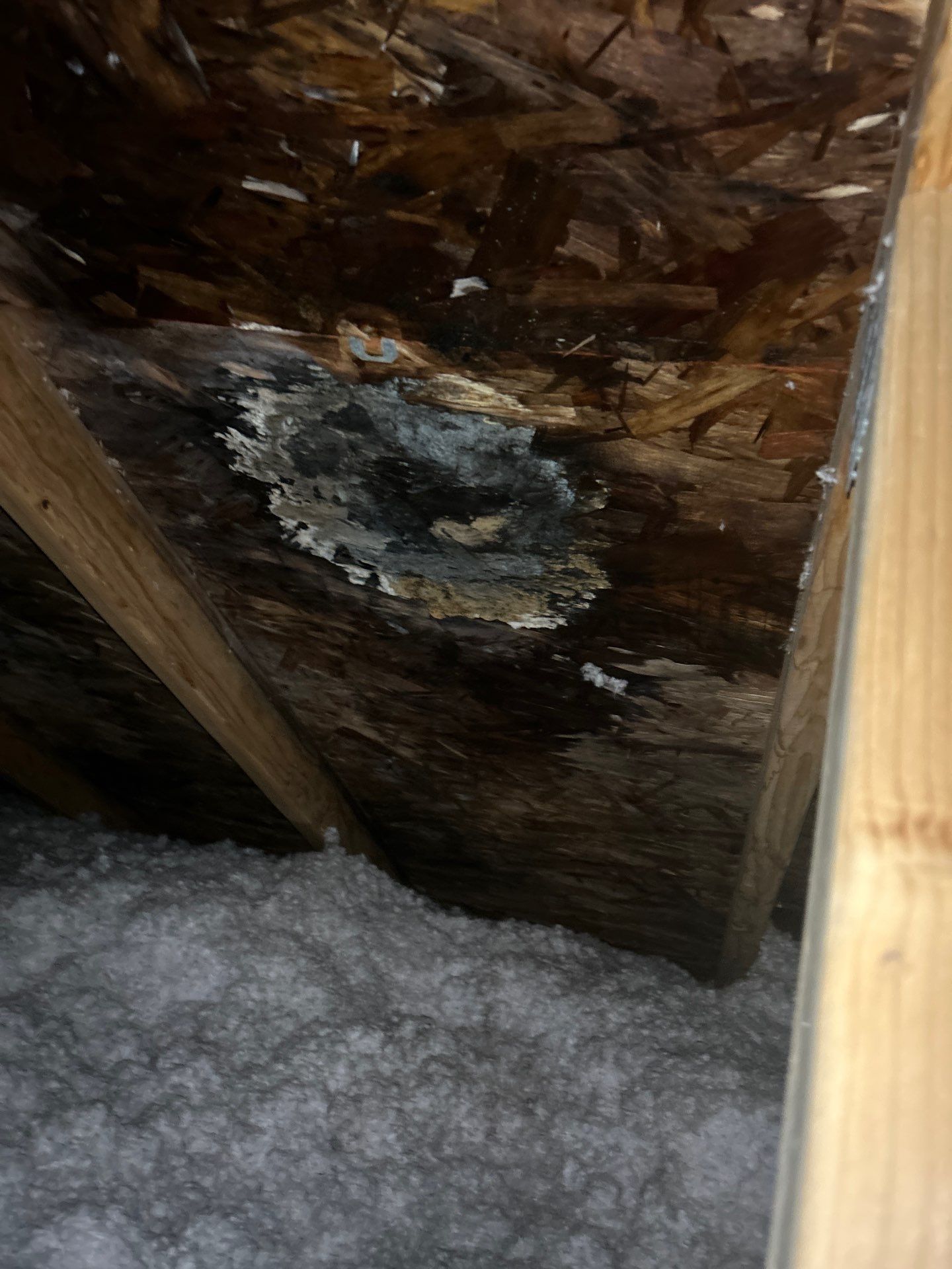 Project in Mount Vernon by Connolly Construction Company