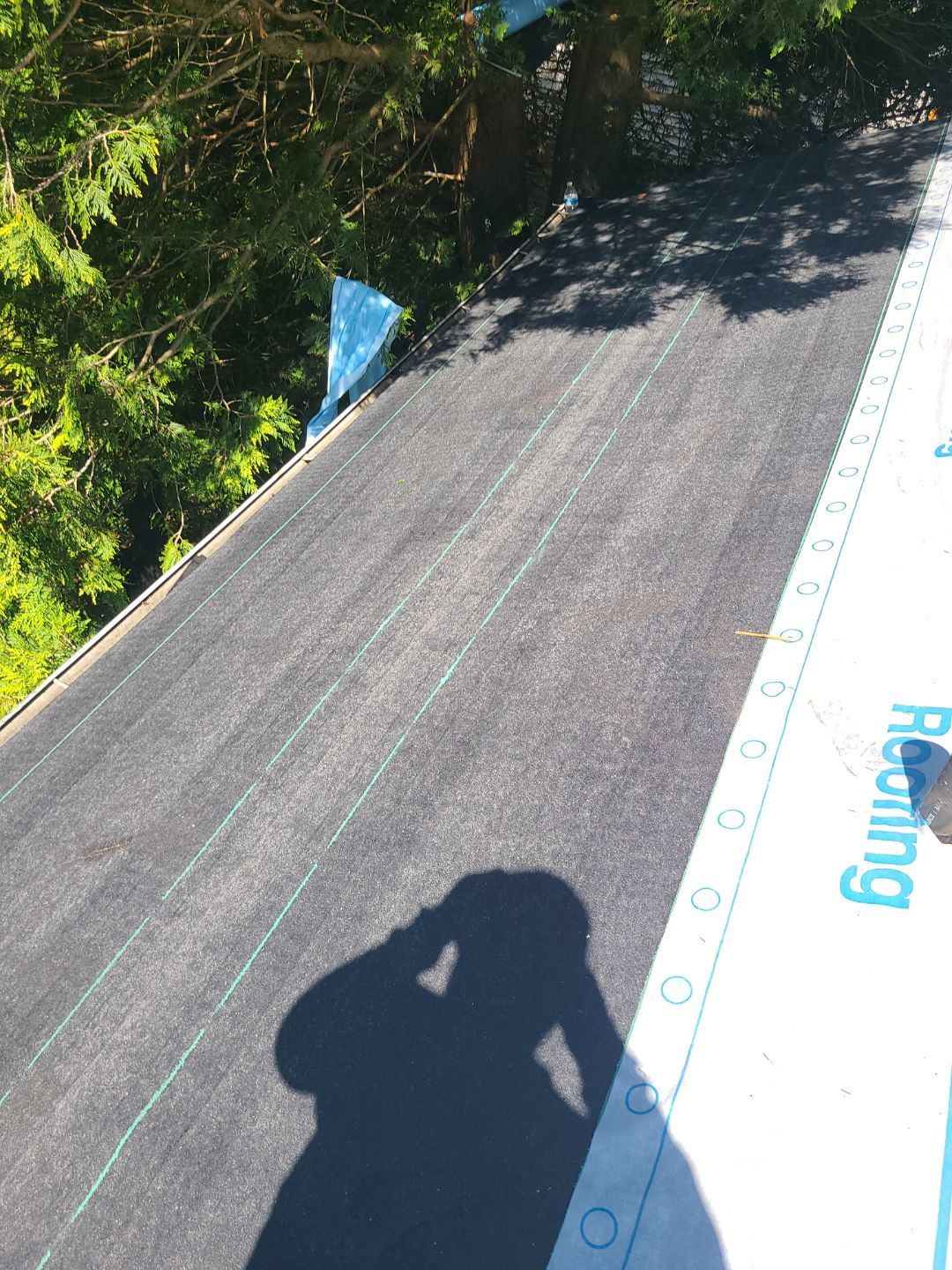 Burke: CertainTeed Landmark Designer Shingles in Moire Black by RM Banning, Inc.