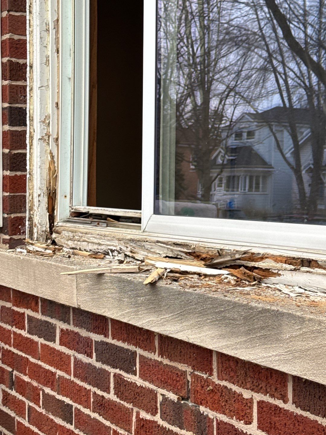 Picture window replacement using Lang Exterior Windows by Shingle Company Construction, Inc