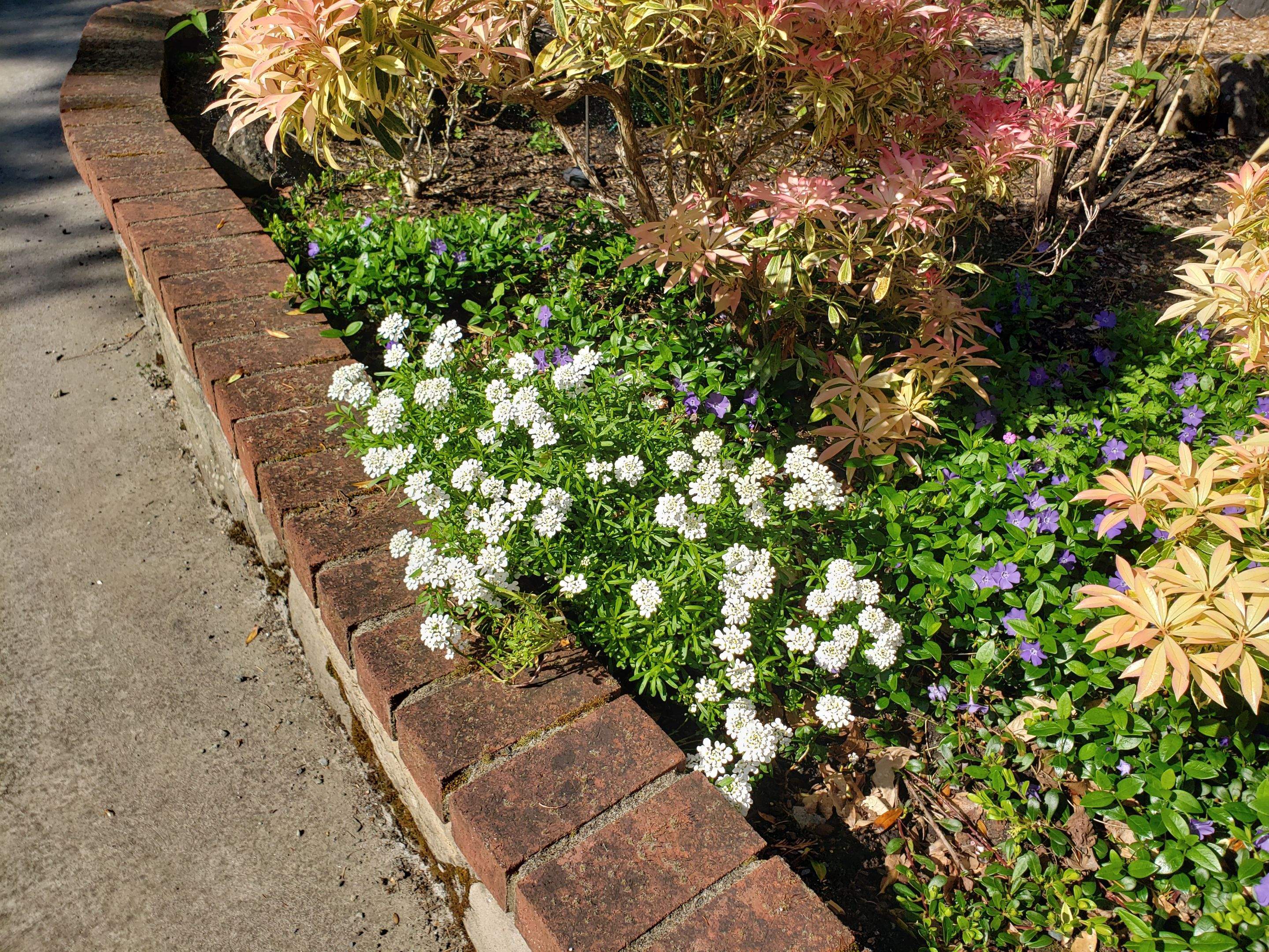Garden Care - North Saanich Residence by Habanero Garden and Exterior Care