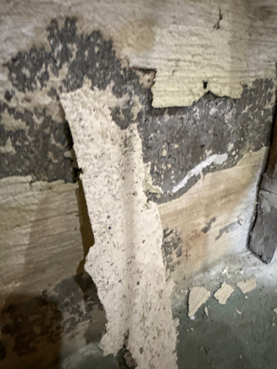 Post‑Remediation Clearance Test & Corrective Mold Remediation, Dover, DE. by Healthy Home Solutions