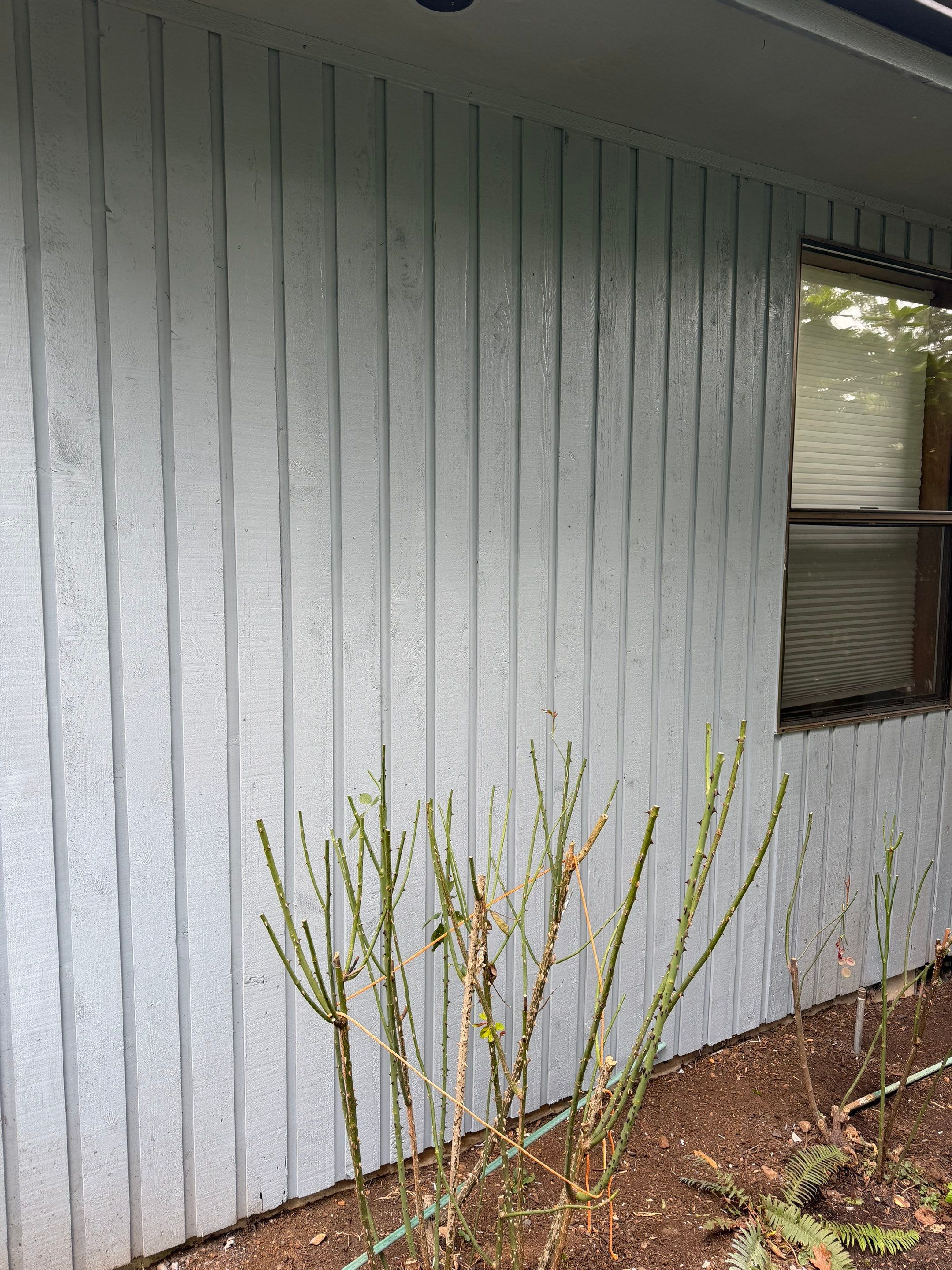 Cedar siding replacement by Handyman State LLC