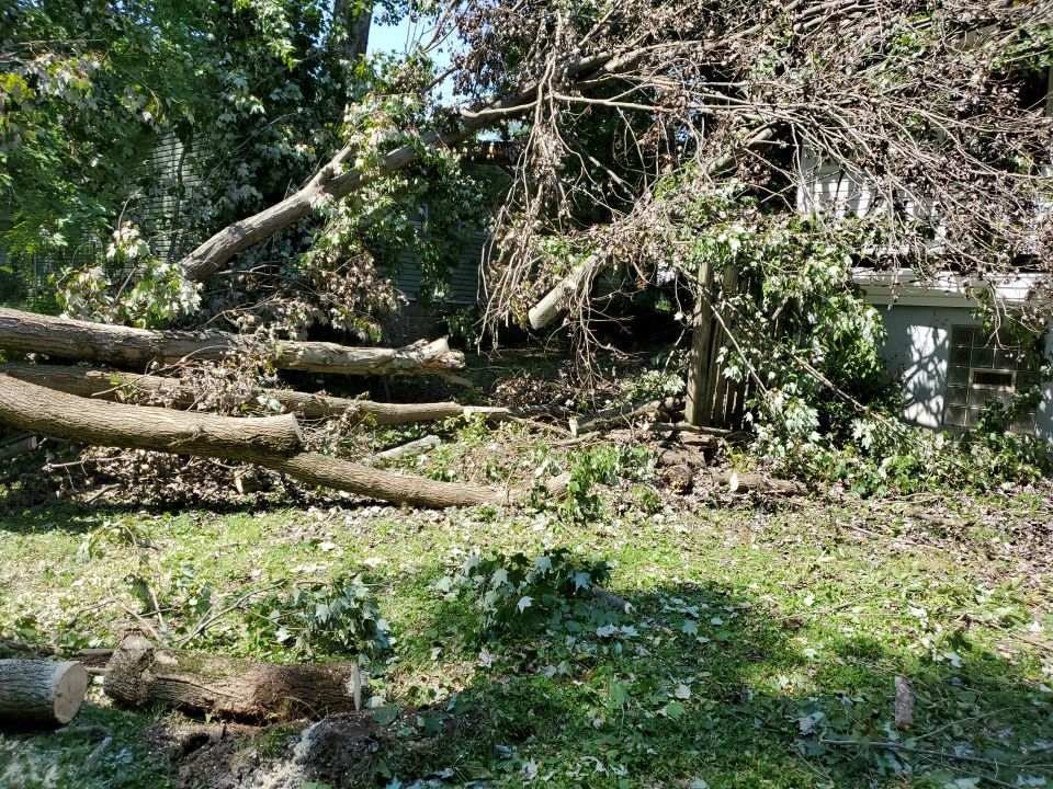 Storm Damaged Tree Removal  by Mike Jones & Sons Tree Service LLC 