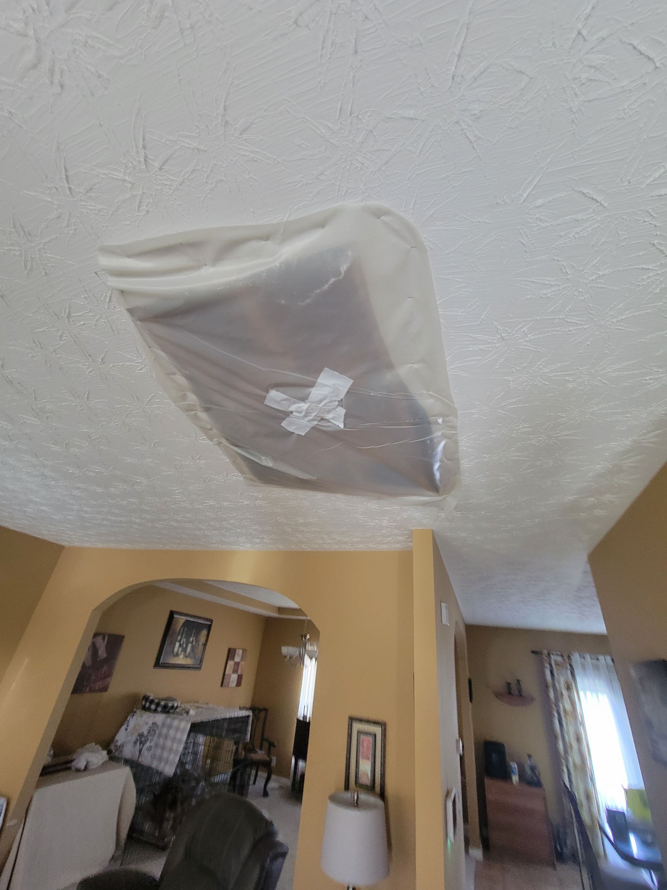 Finished Repairs on Mold Project in Louisville, KY by ANR Restoration