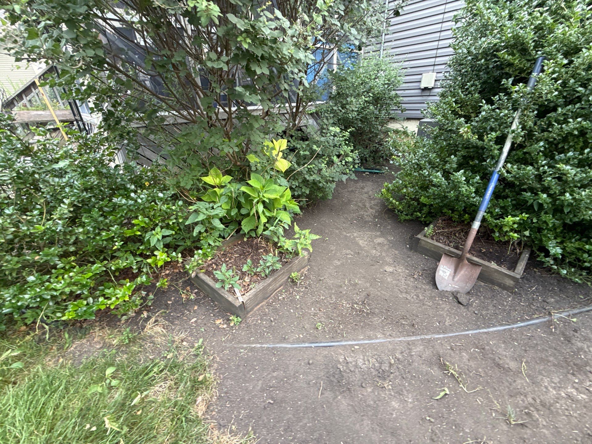 Donna L. - Arlington Heights, IL by A&N