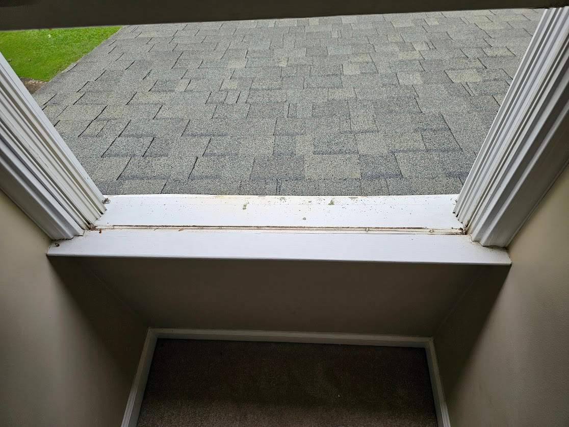 Smith Project in Alabaster by The Window Source