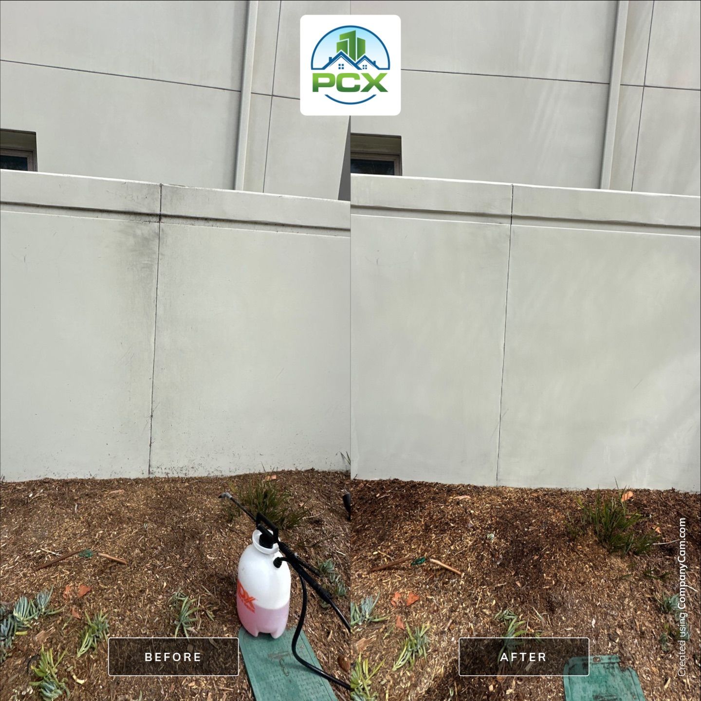 Newport HOA softwash by Property Cleaning Experts, LLC