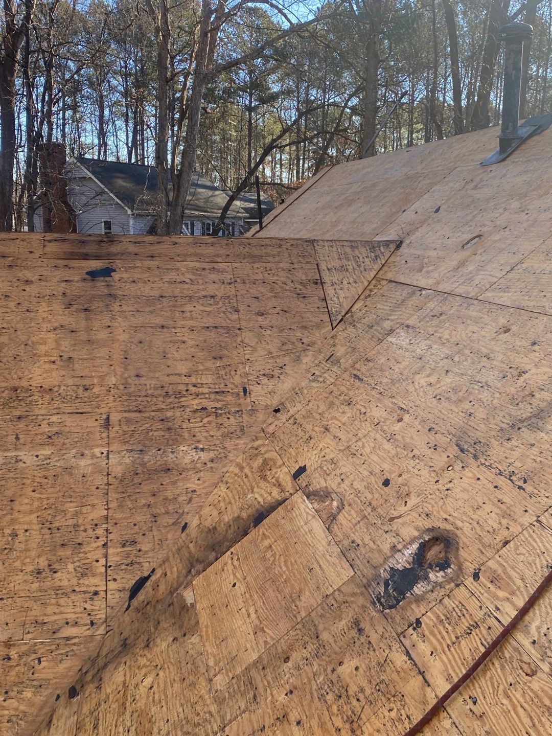 Project in Raleigh - Certainteed Landmark Pro Pewter  by Pro Performance Roofing