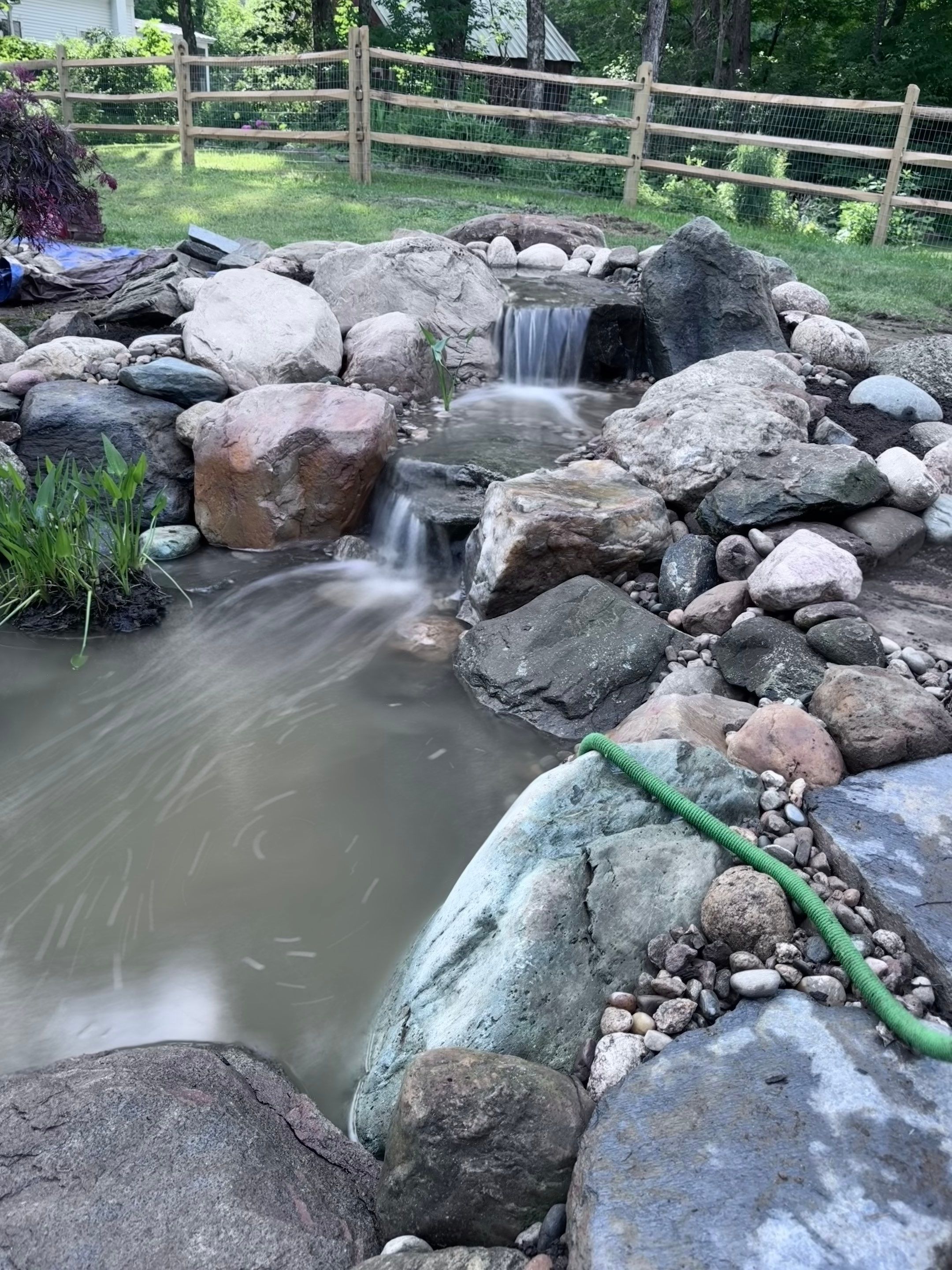Small Pond Rescue in Williamsville, VT by Wicked Water Gardens