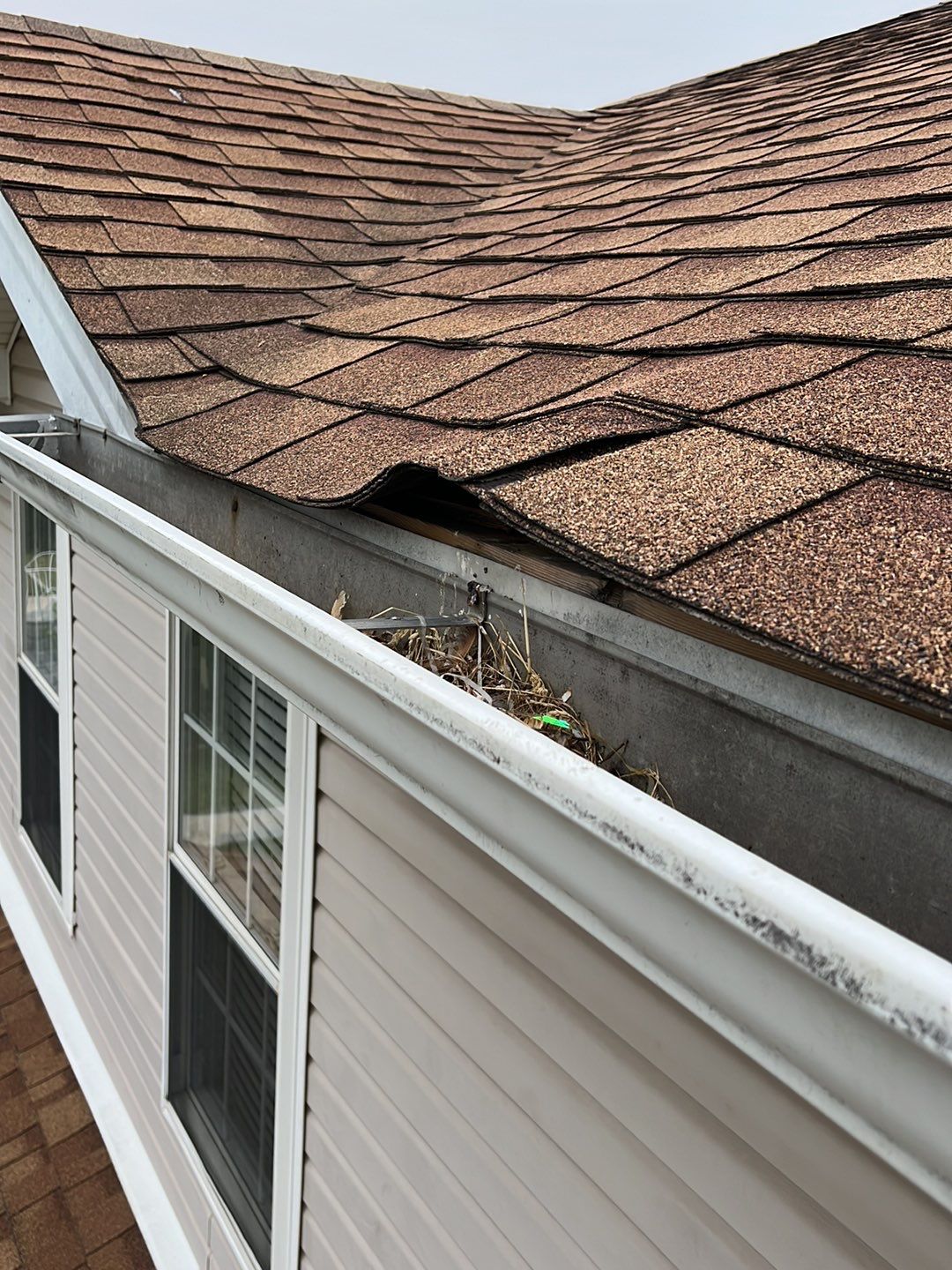 Roof Replacement by G2