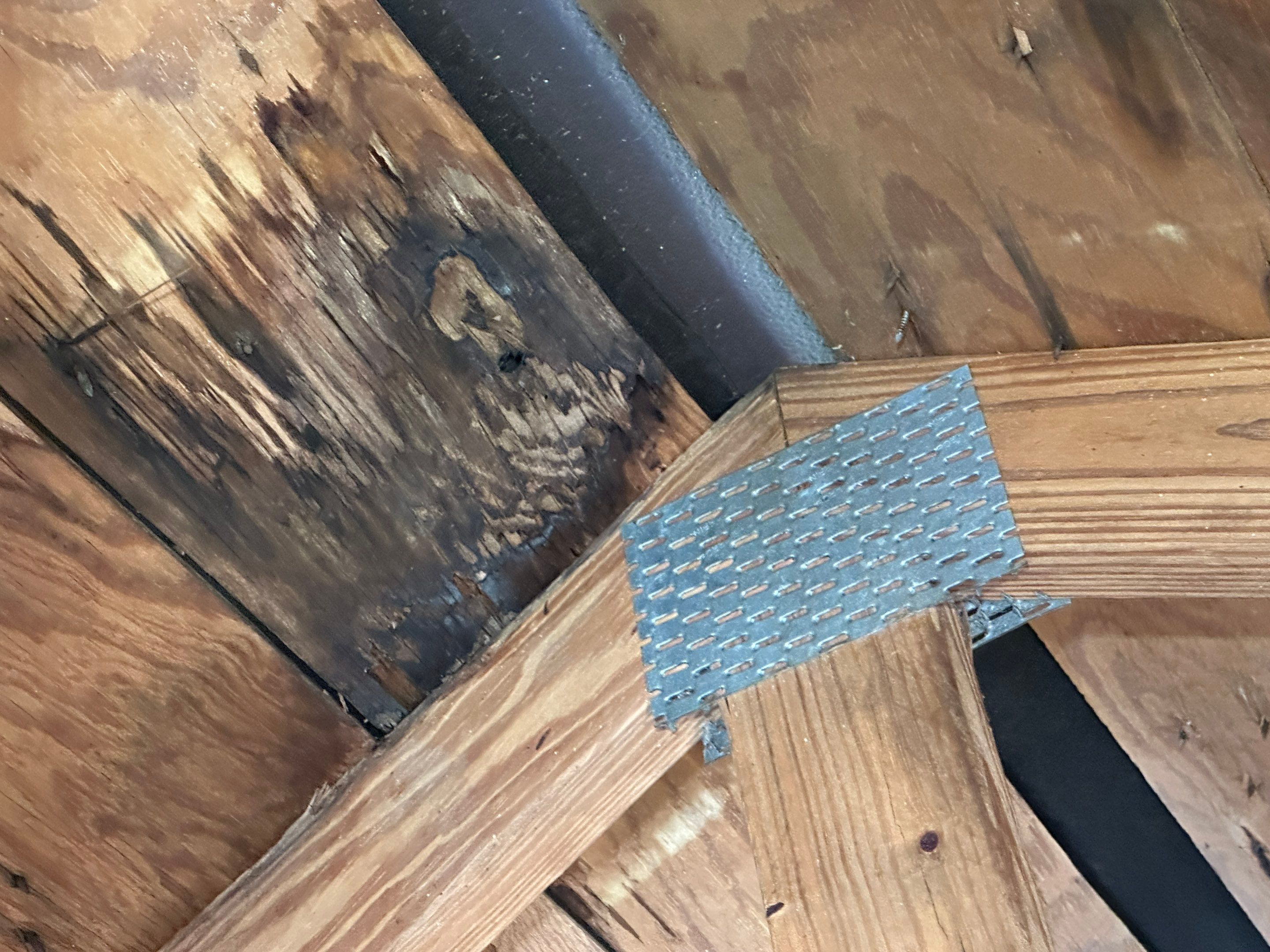 Water Damage Claim in Lutz by FLAPA & KeyStone