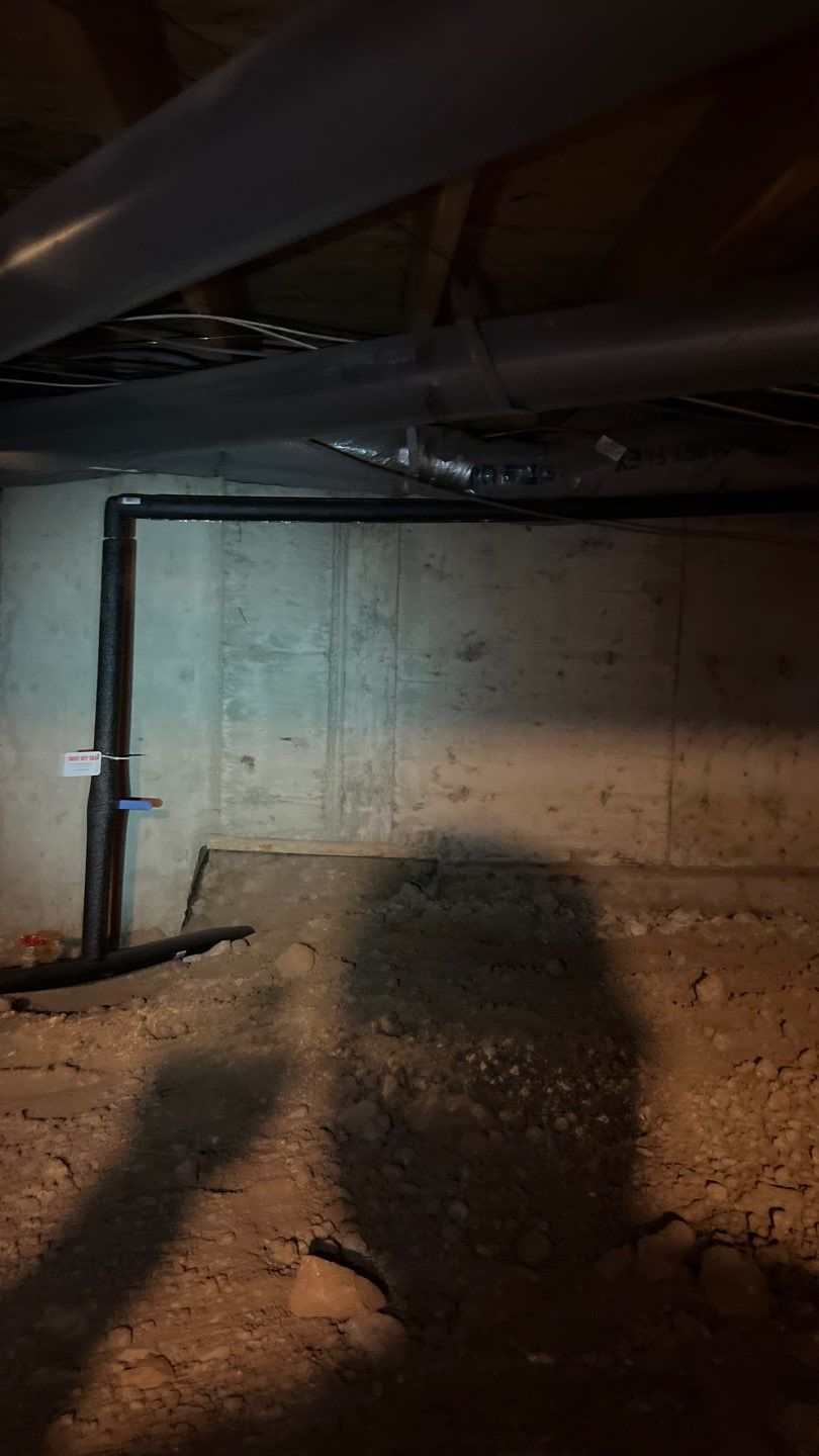 Mold Damage by Accountable Home Services