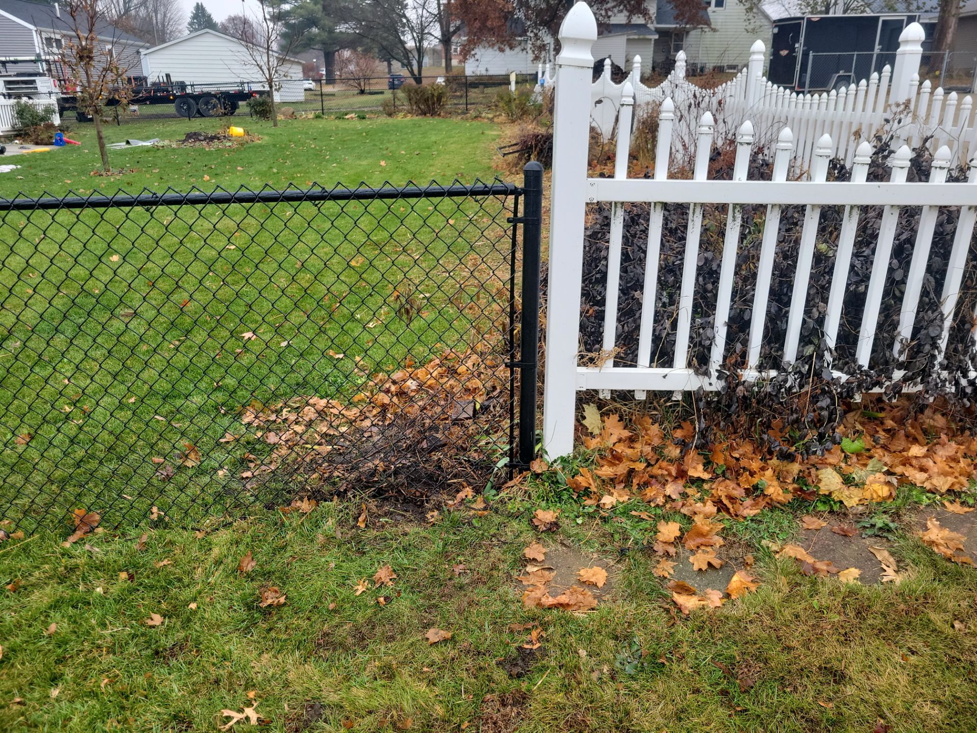Black Vinyl-Coated Chain Link Fence Installation in Aplington by Perfect Picket Fence and Stain