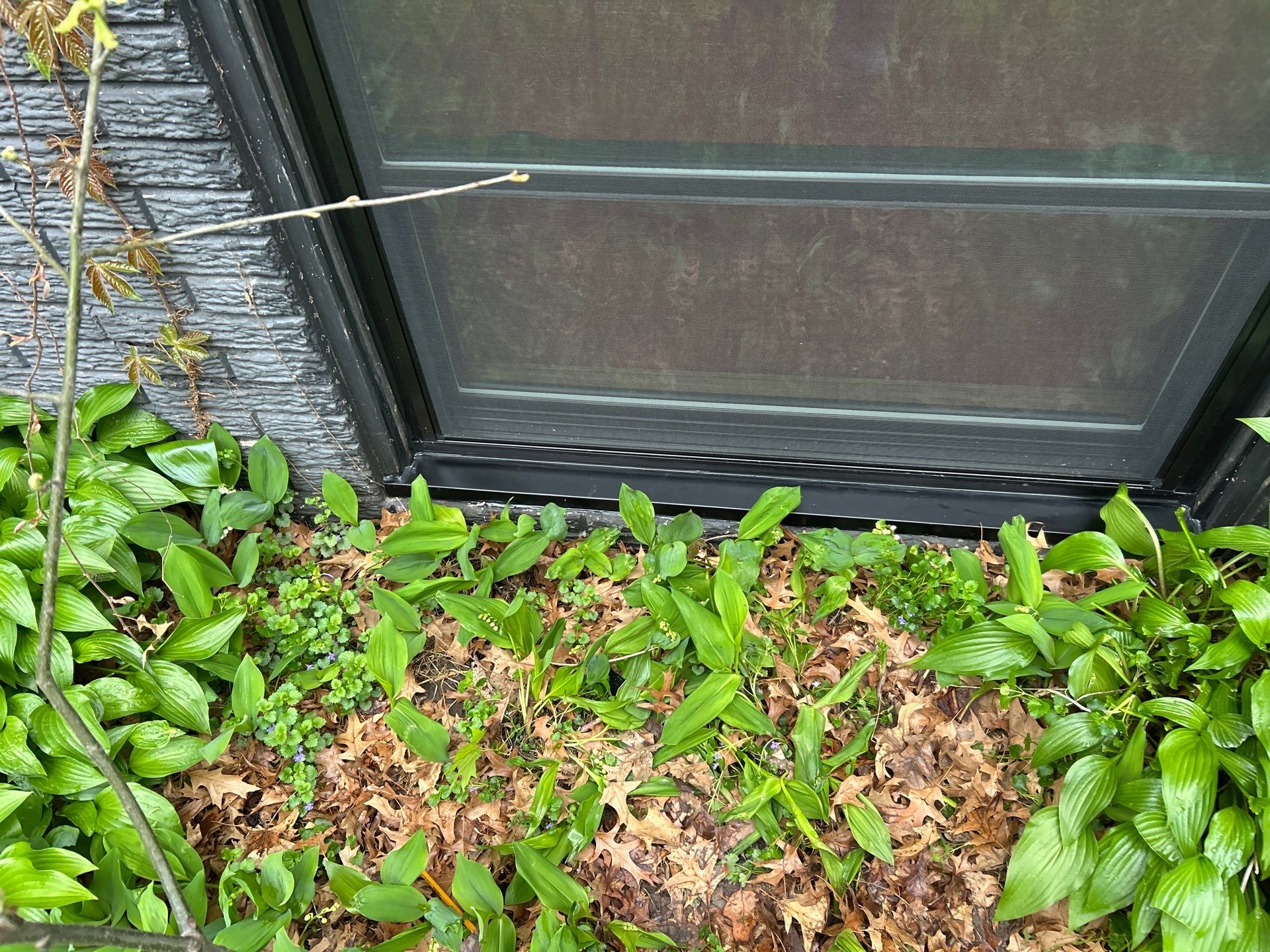 Window installation  by United Windows and Siding LLC