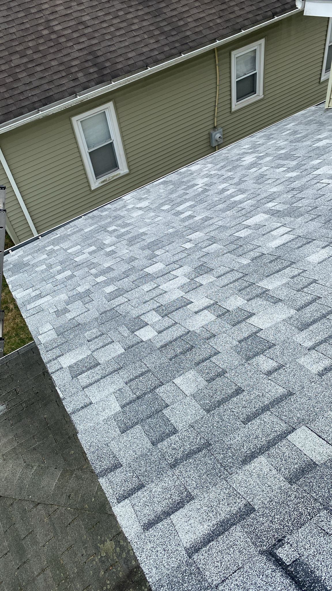 Silver Birch Shingles by Reimagine Roofing