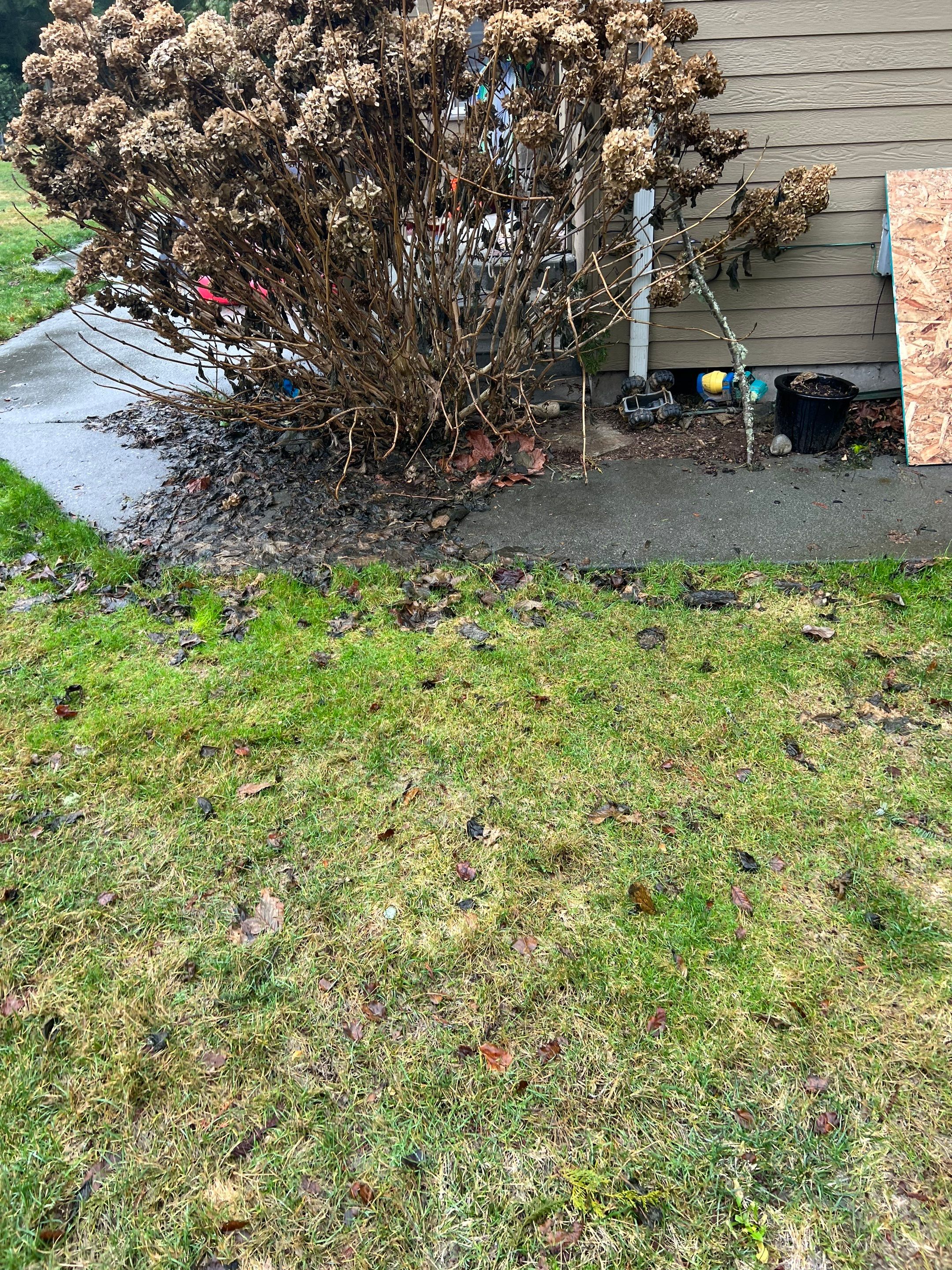 Eric | Patio Repair, Concrete project by Jireh Asphalt & Concrete Inc 