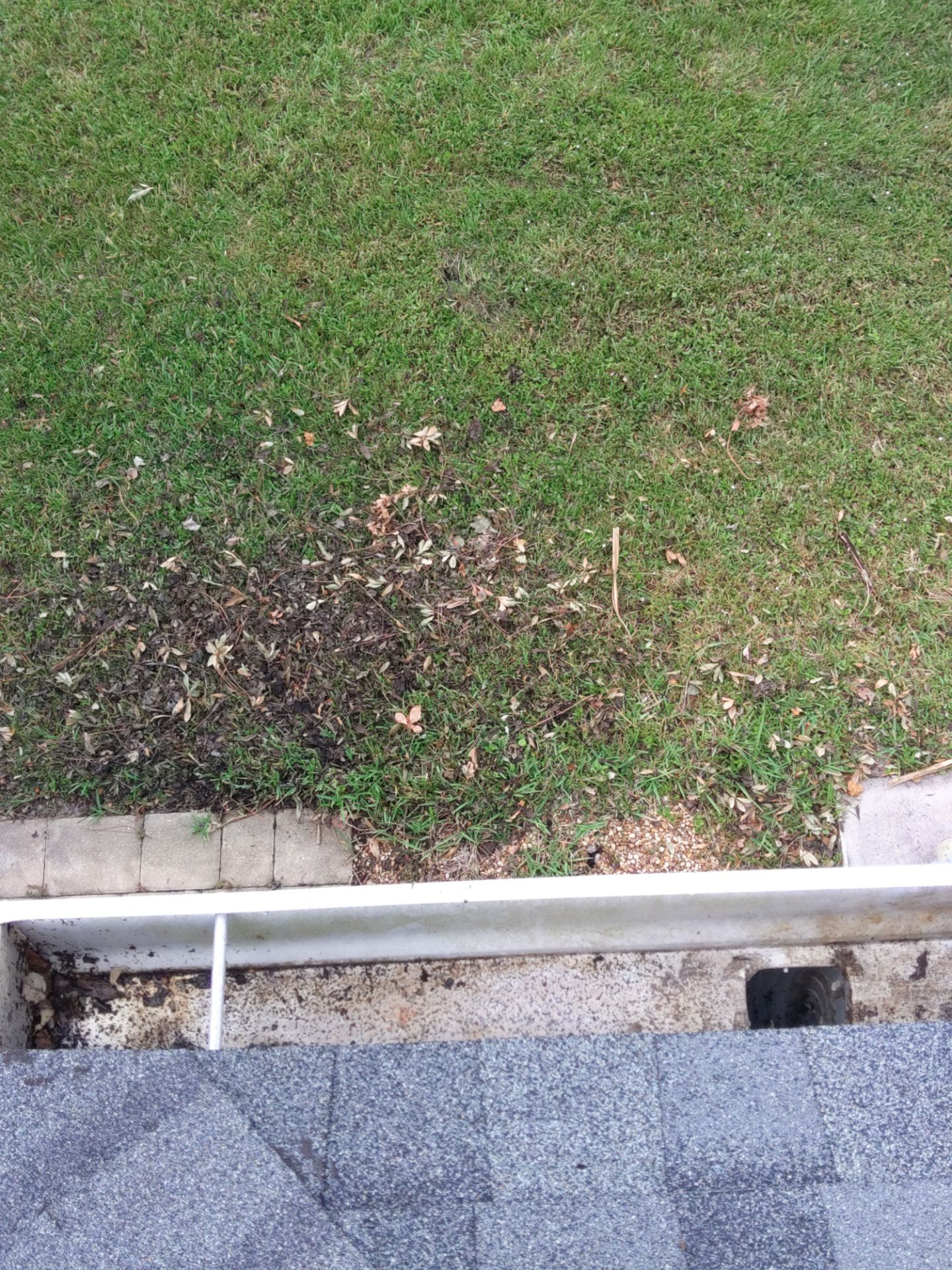 Gutter Guard Systems Installed in Bradenton FL by Gutter Professors