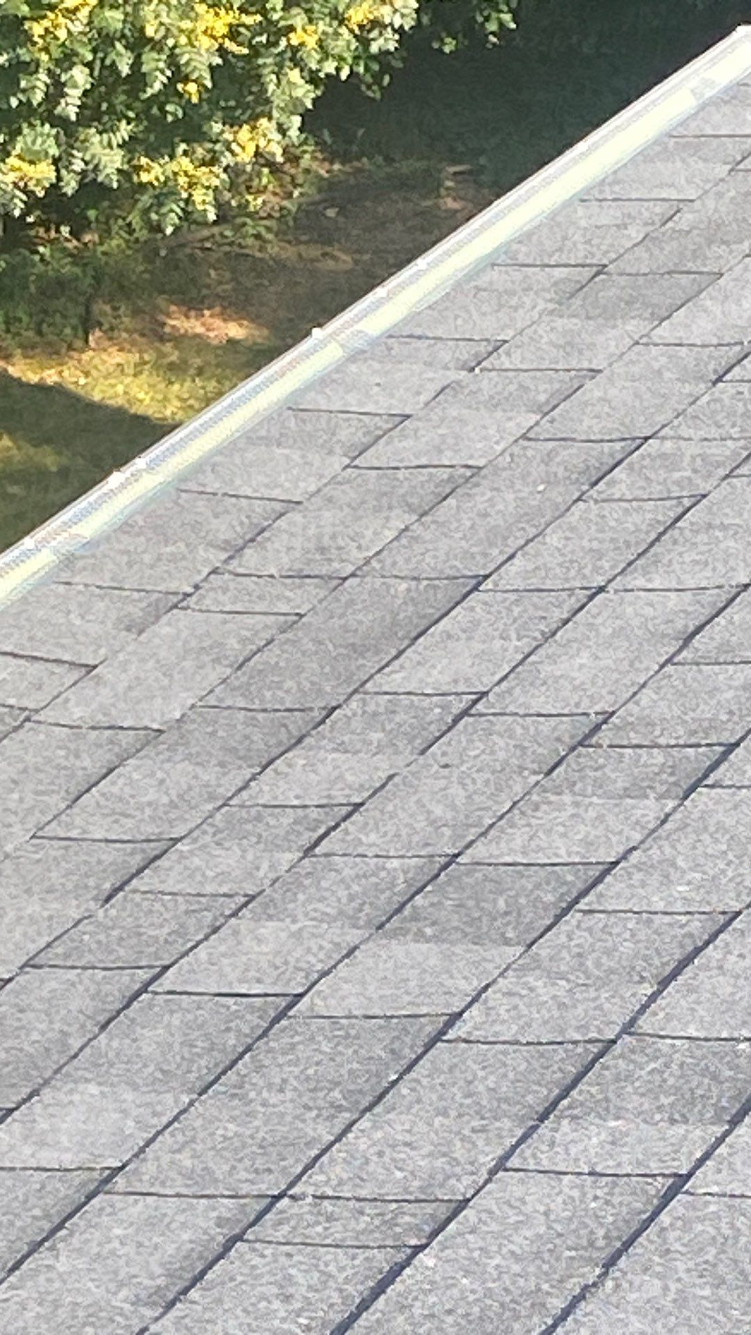 Vienna: Roof Replacement with CertainTeed Landmark Designer Shingles in Moire Black by RM Banning, Inc.
