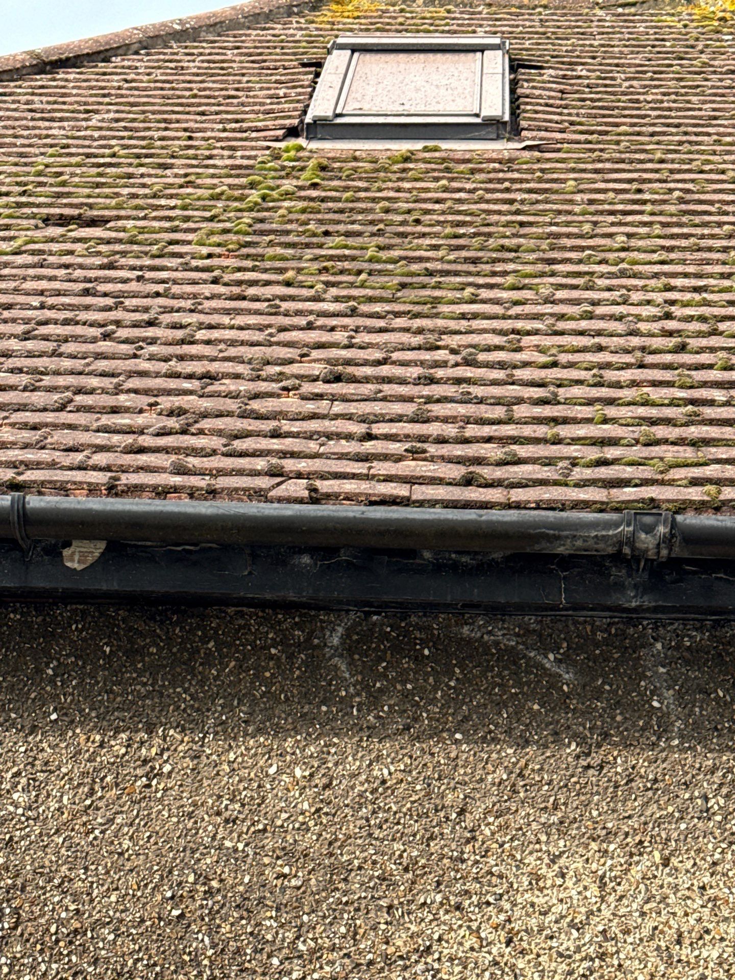 Roof Clean  - Moss Removal - Gutter Clean using Honda 15lpm Low Pressure Washing Machine by Ges Exterior Cleaning ltd