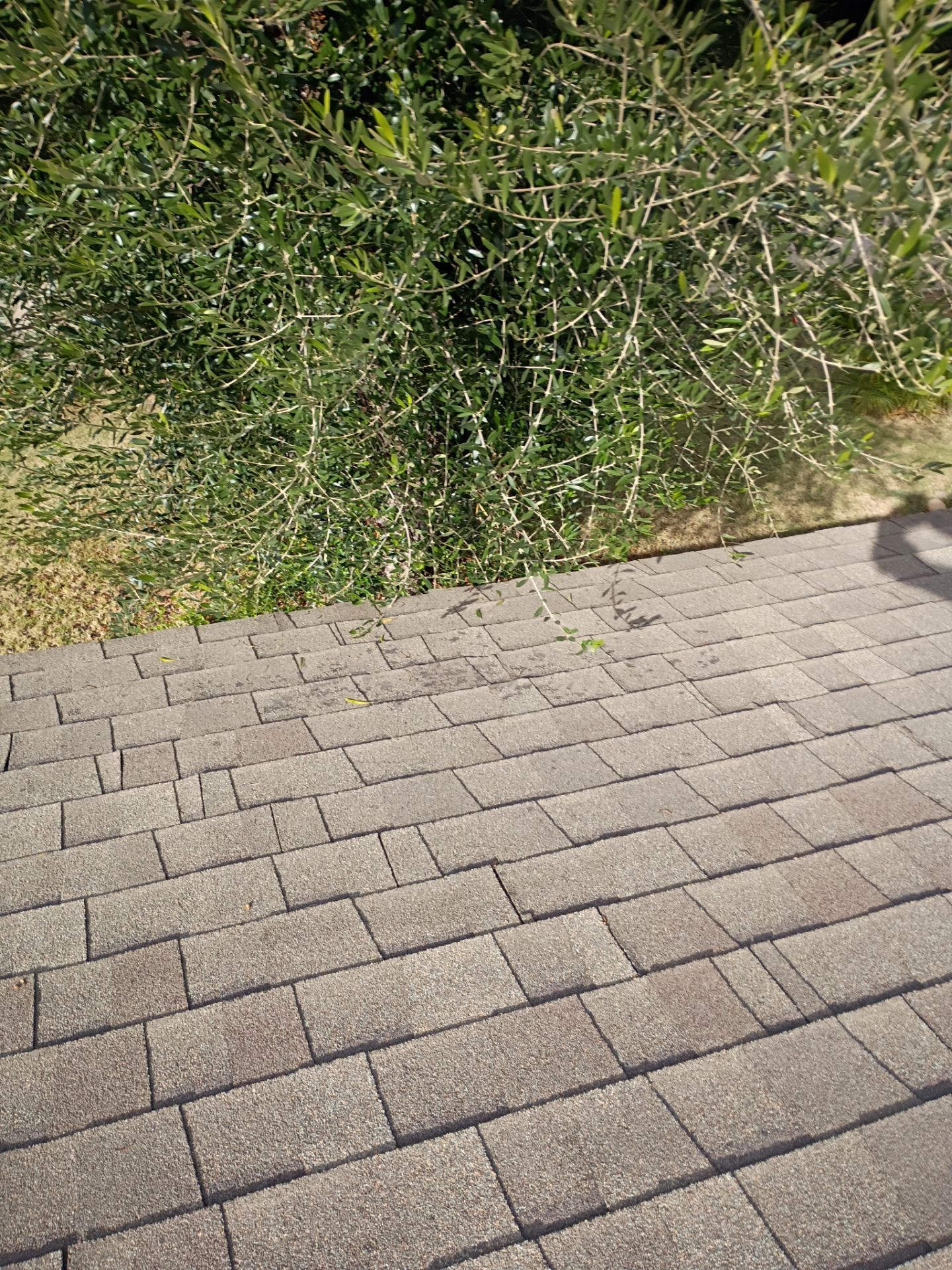 Roof Rejuvenation using Roof Maxx Treatment by Roof Maxx of Folsom