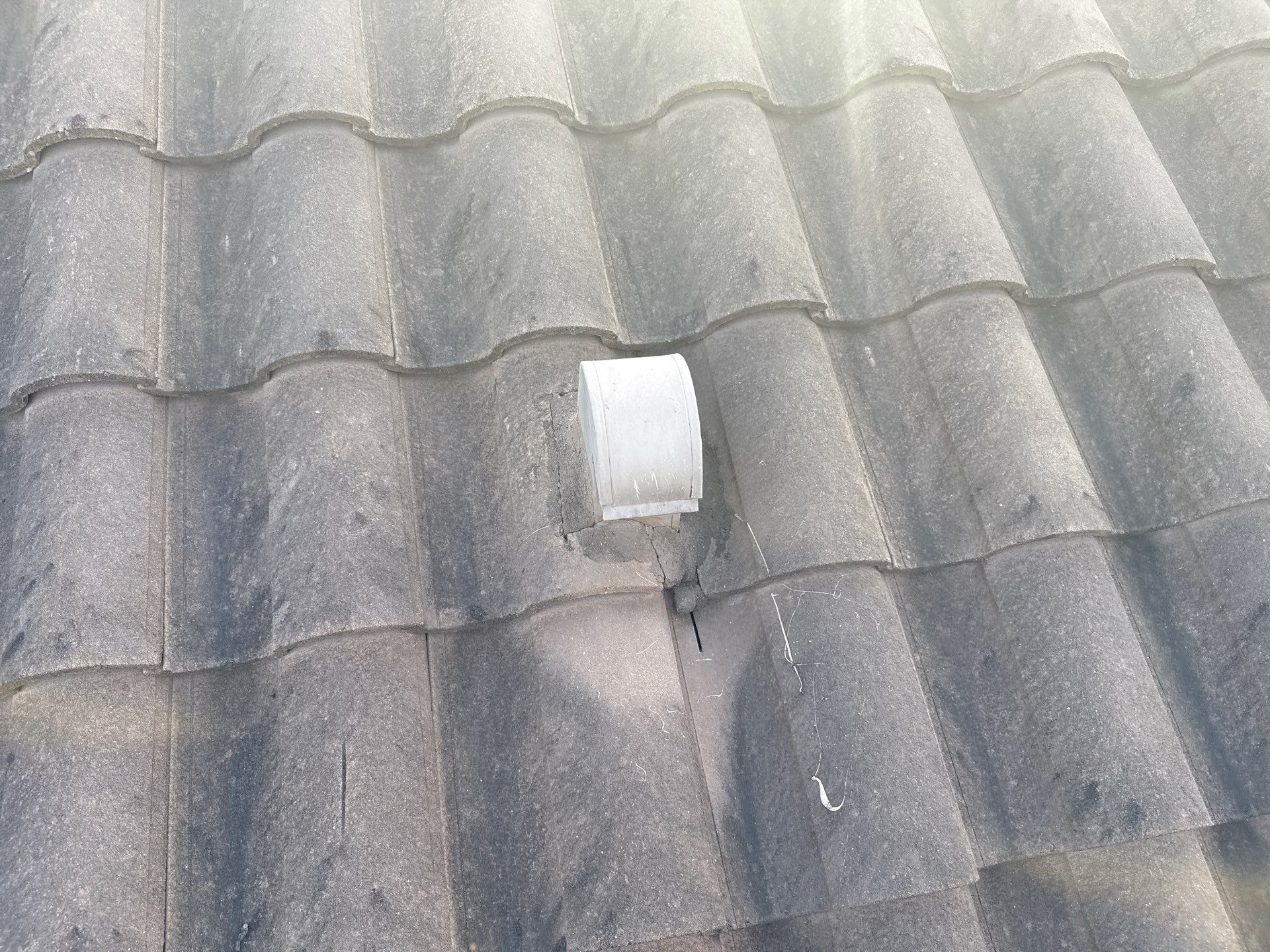 Soft Wash Roof Cleaning – Concrete Tile Roof | Artisan Lakes Esplanade, Palmetto, FL by Sunshine AquaWash