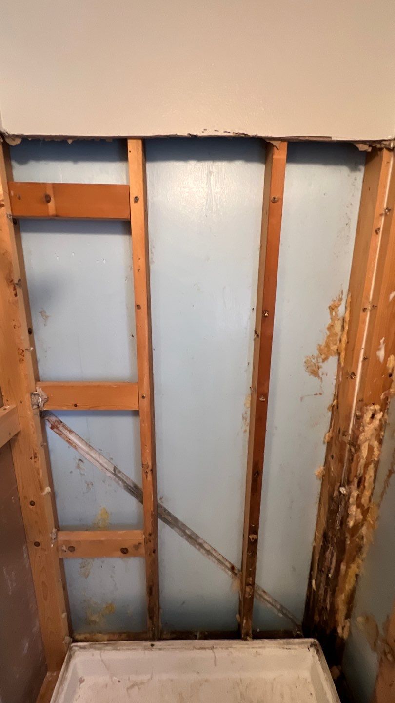 Water Damage and Mold Remediation by Accountable Home Services