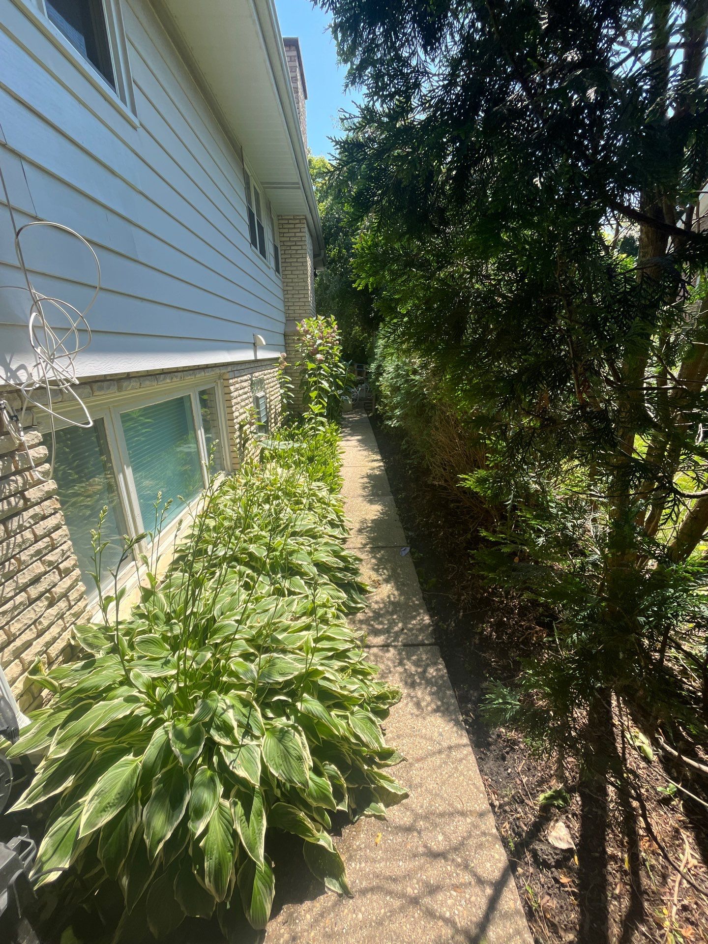 concrete power washing using Algaecide, soft wash soap by Northern Power Washing LLC.