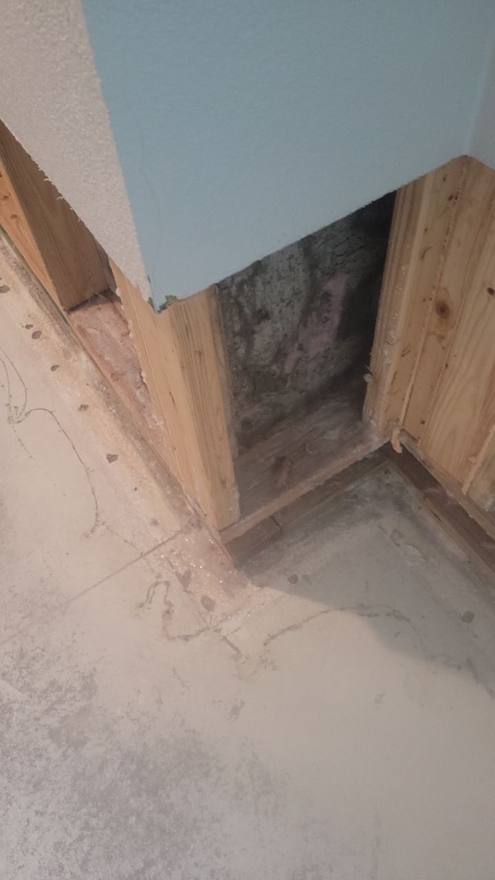 Mold Remediation  by Accountable Home Services